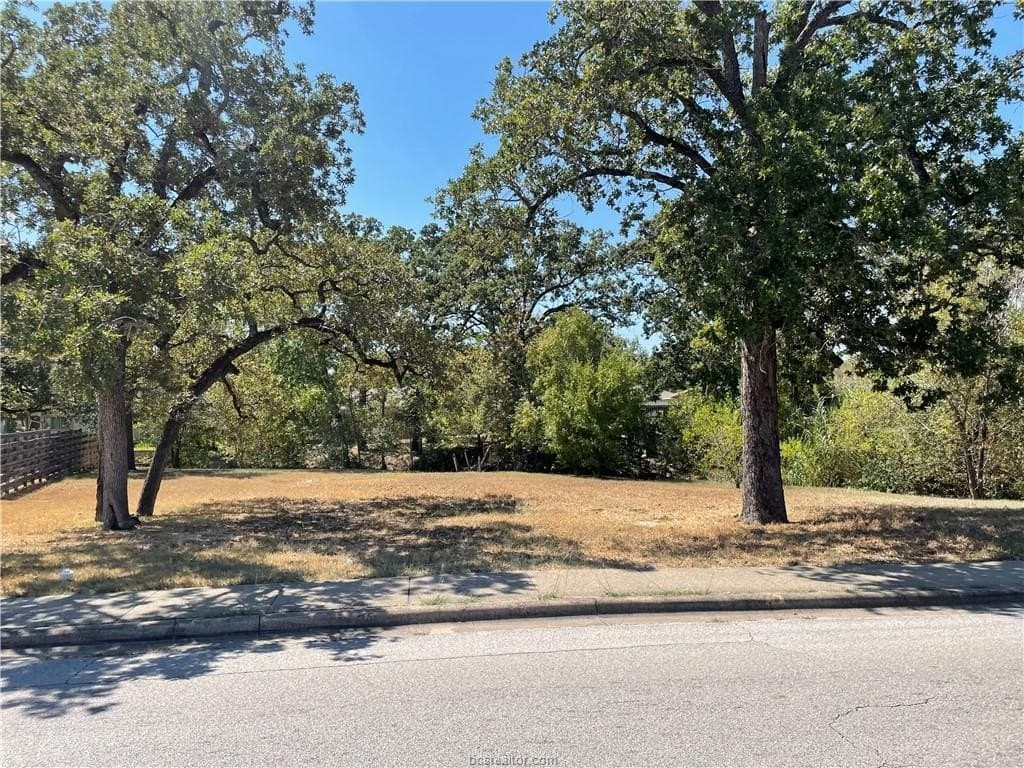 0.28 acres in Brazos County - photo 3
