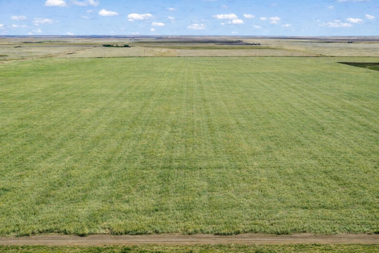10 acres in Lubbock County - photo 5