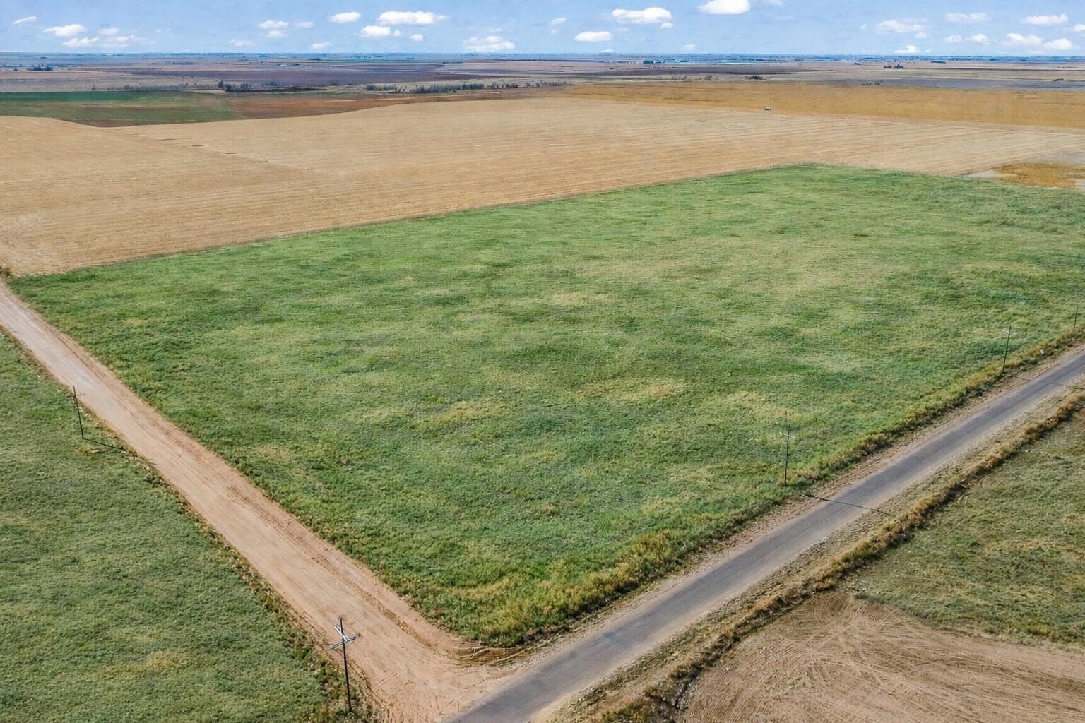 10 acres in Lubbock County - photo 8