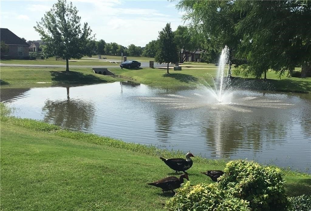 1 acres in Collin County - photo 8