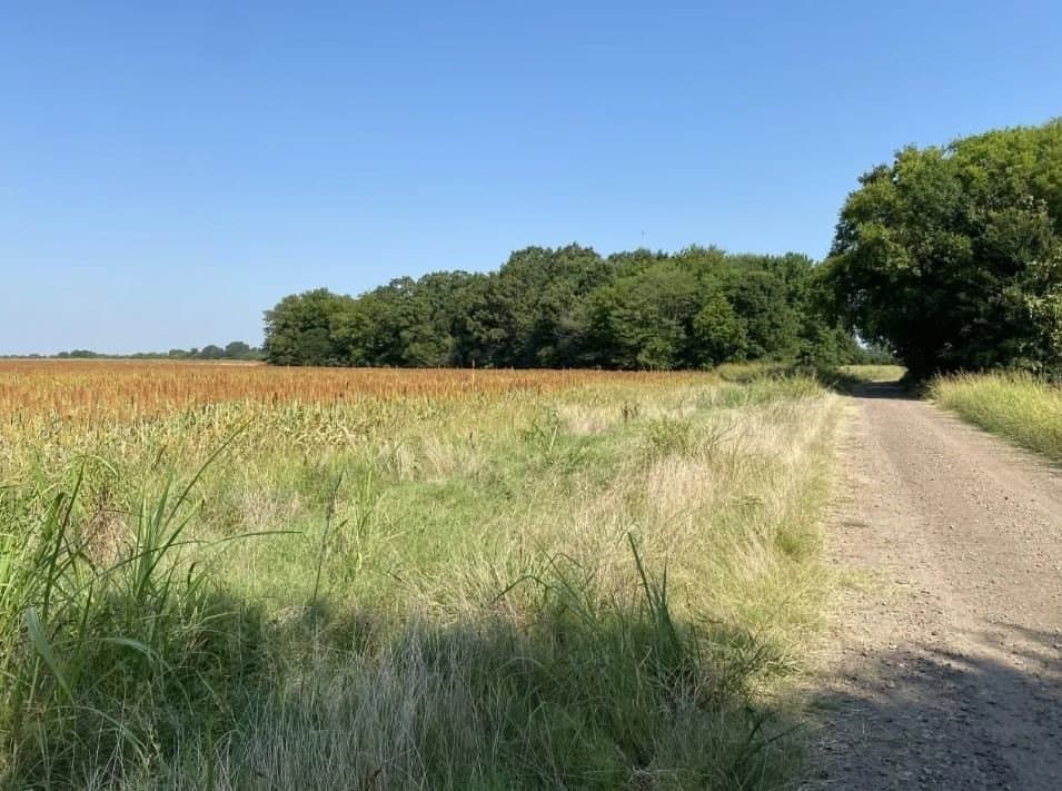 37 acres in Lamar County - photo 4