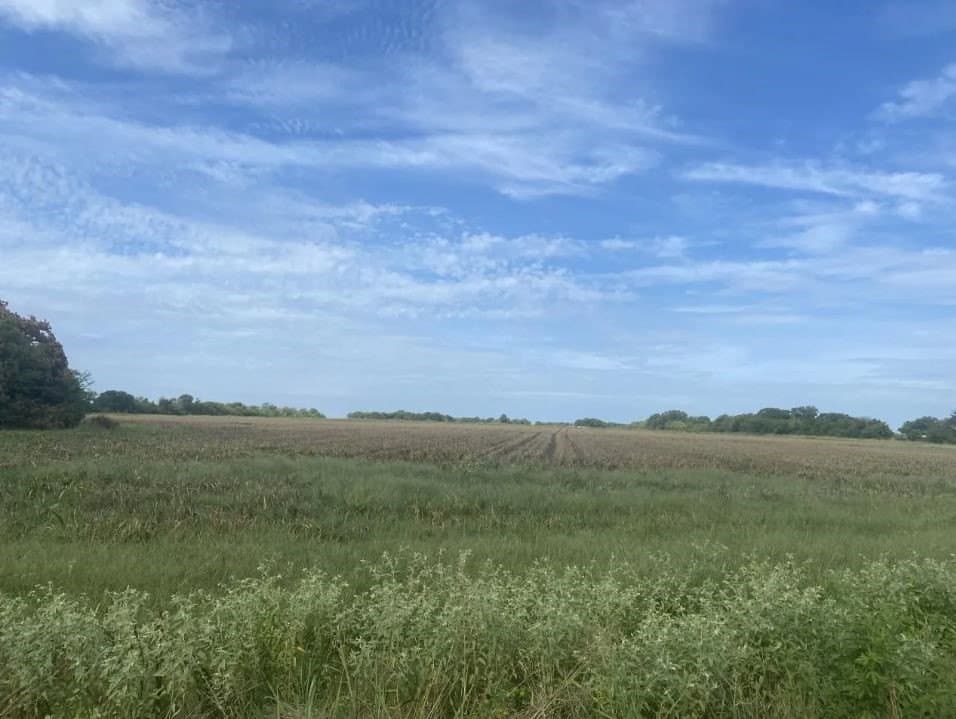 37 acres in Lamar County - photo 3