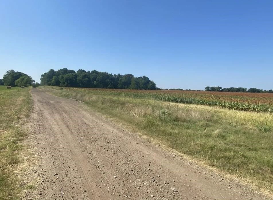 37 acres in Lamar County - photo 5