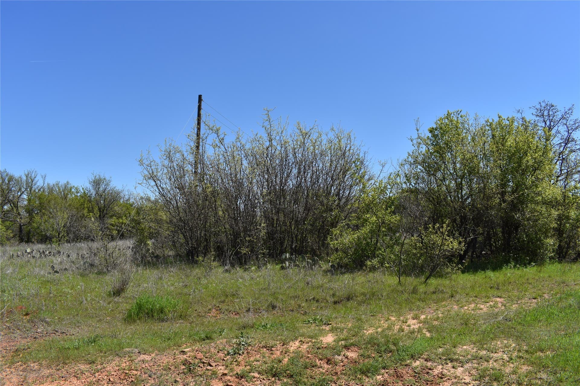 86.94 acres in Jack County - photo 28