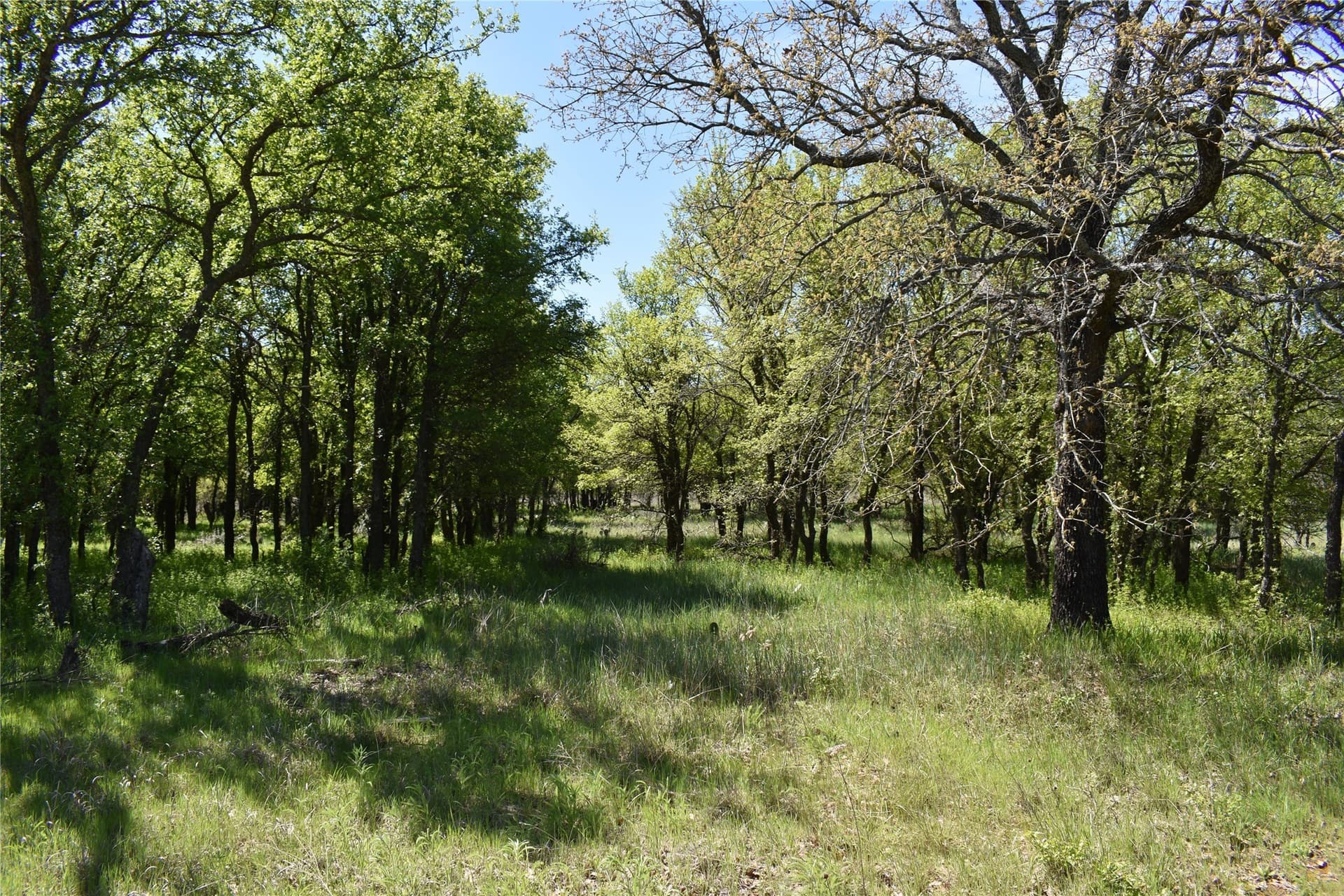 86.94 acres in Jack County - photo 26