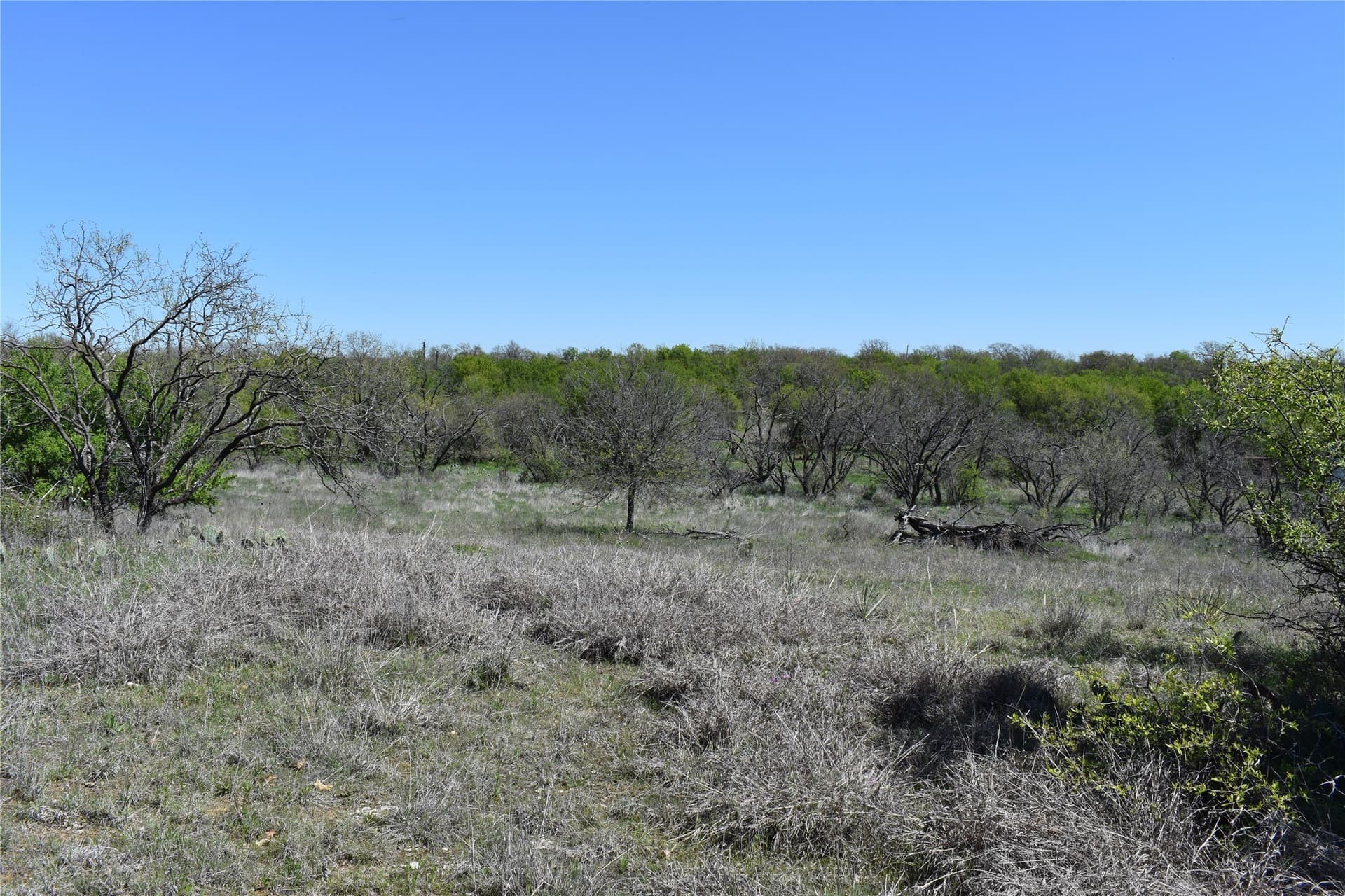 86.94 acres in Jack County - photo 24