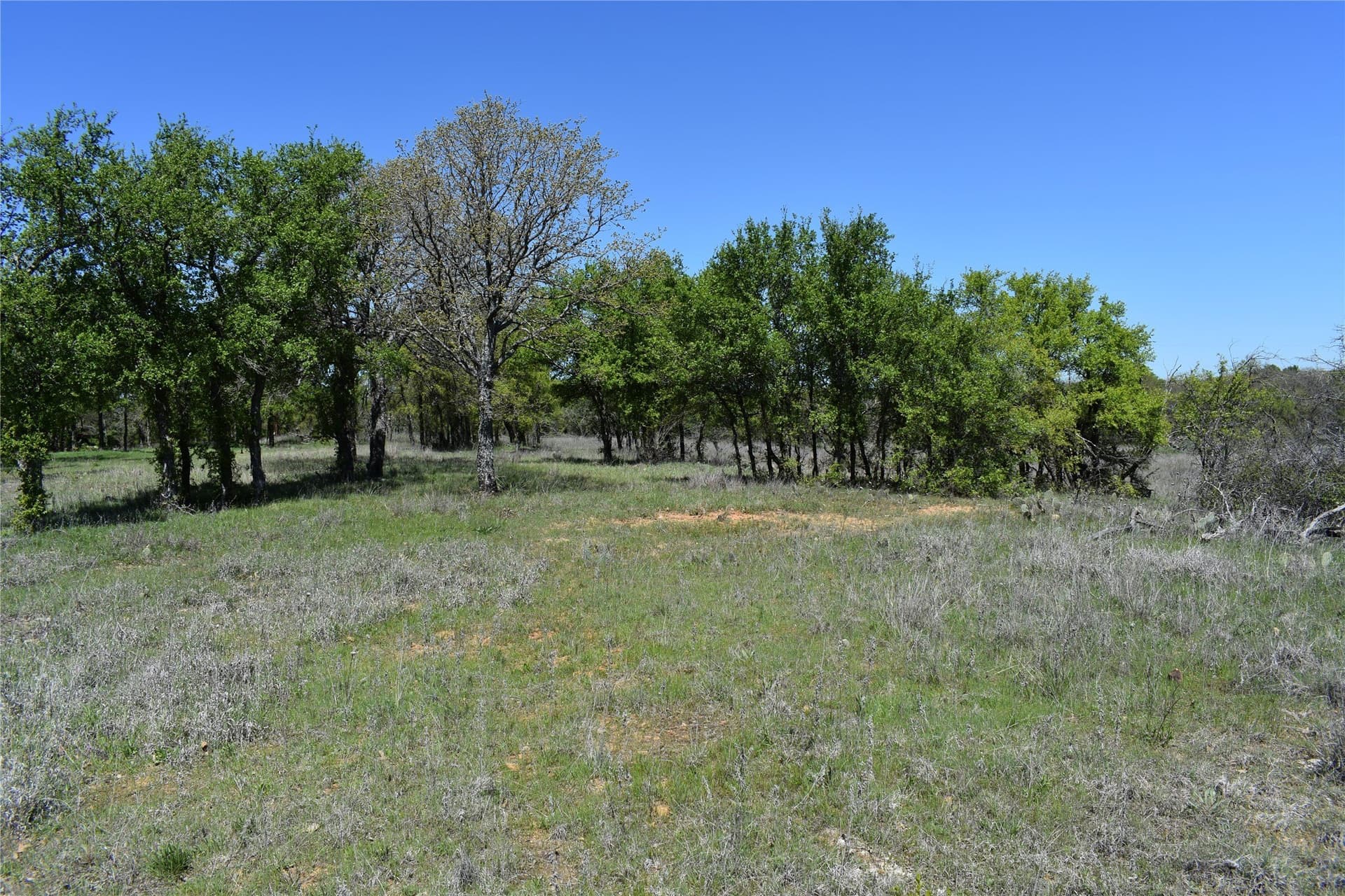 86.94 acres in Jack County - photo 25