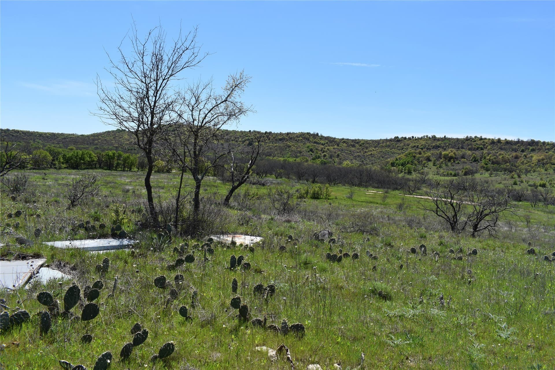 86.94 acres in Jack County - photo 22