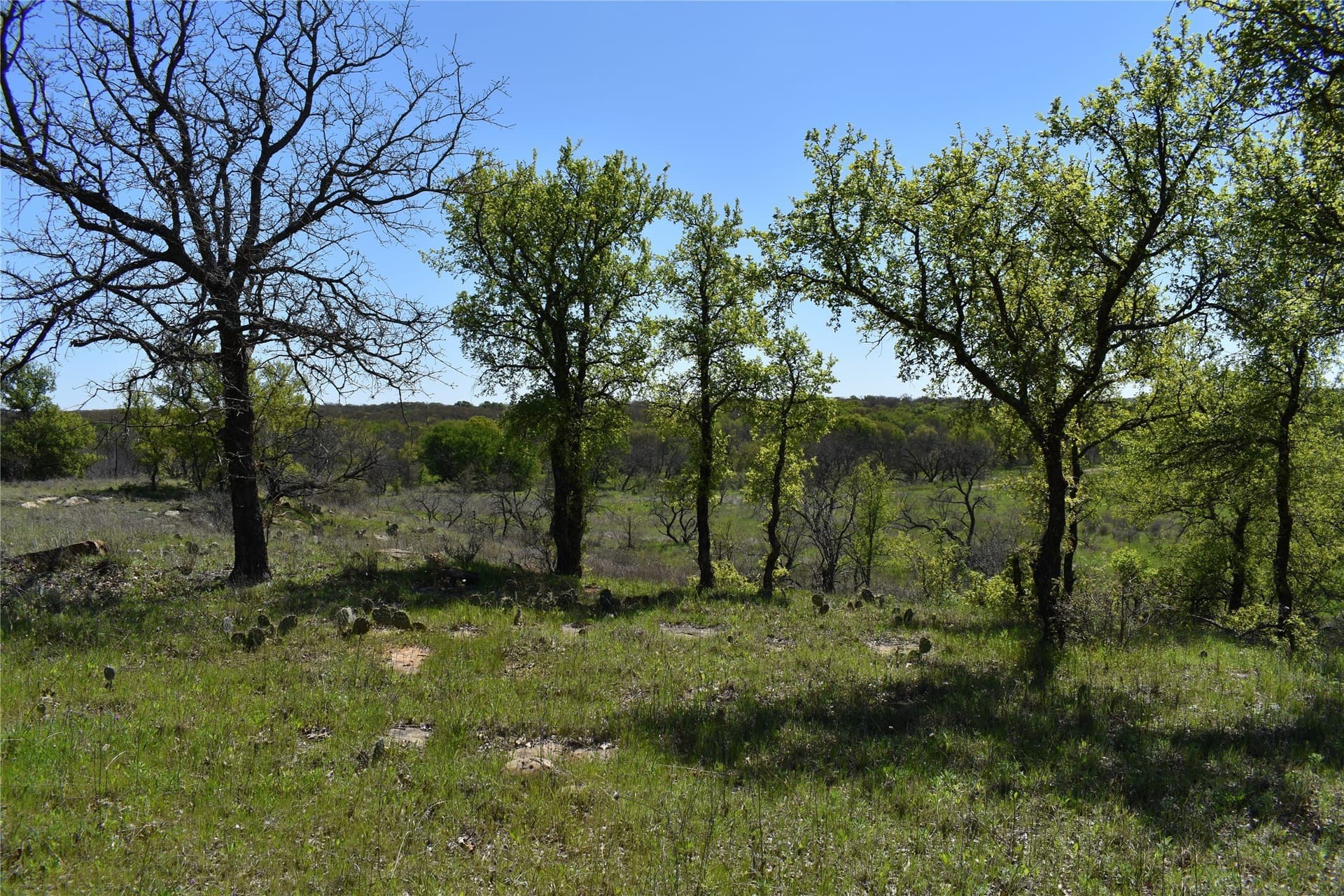 86.94 acres in Jack County - photo 20
