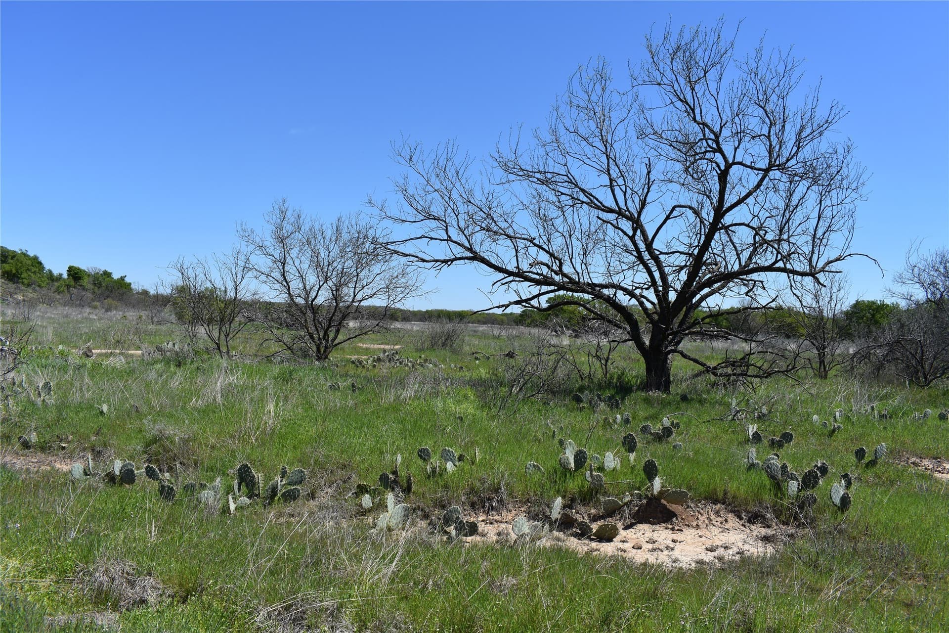 86.94 acres in Jack County - photo 31