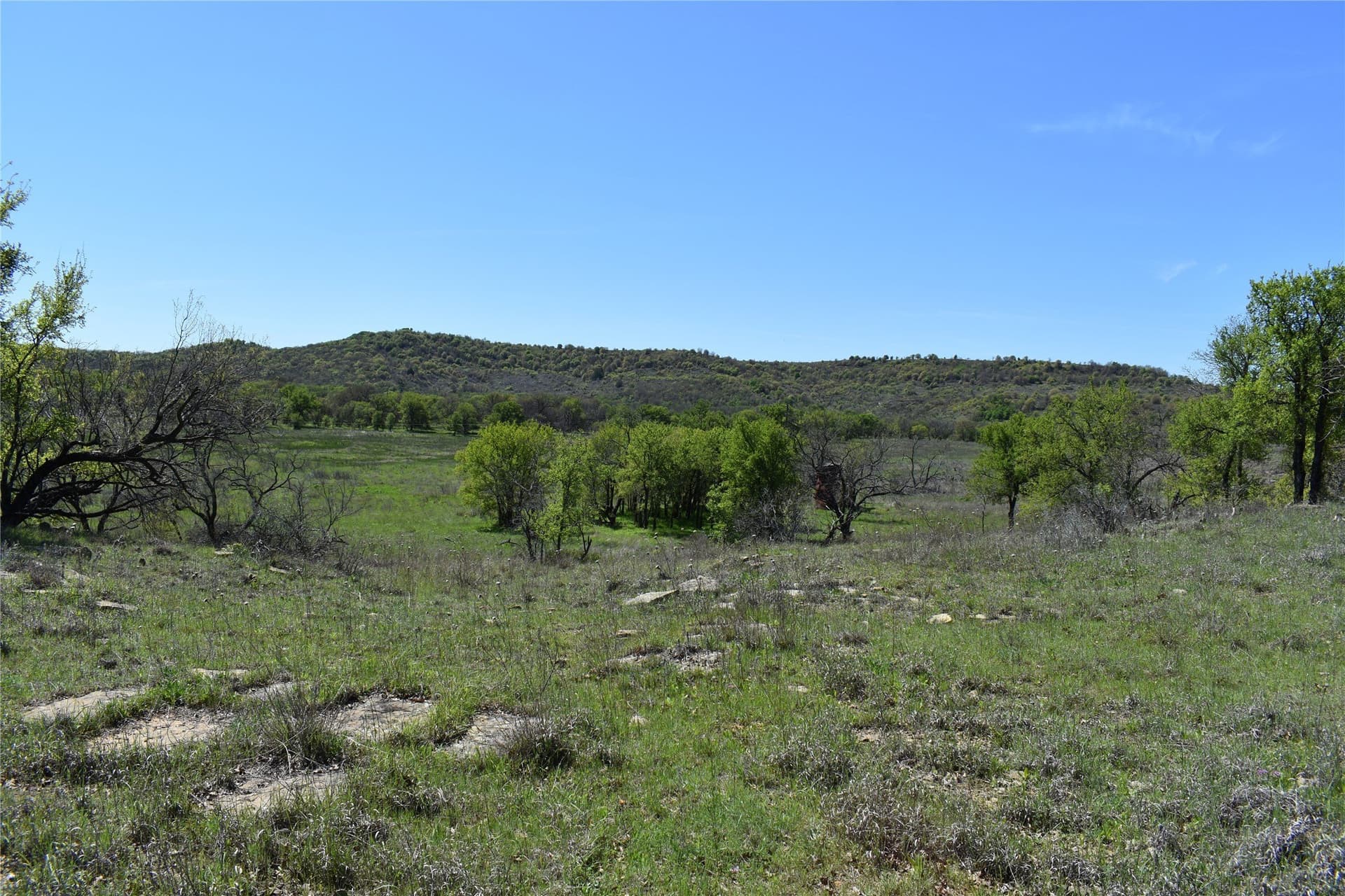 86.94 acres in Jack County - photo 15