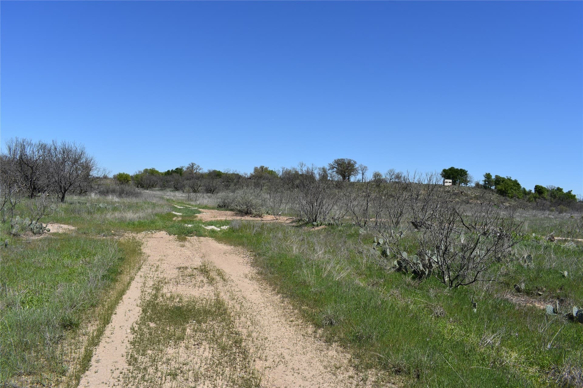 86.94 acres in Jack County - photo 32