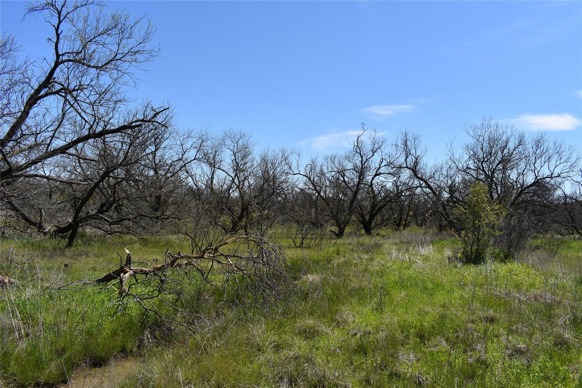 86.94 acres in Jack County - photo 37