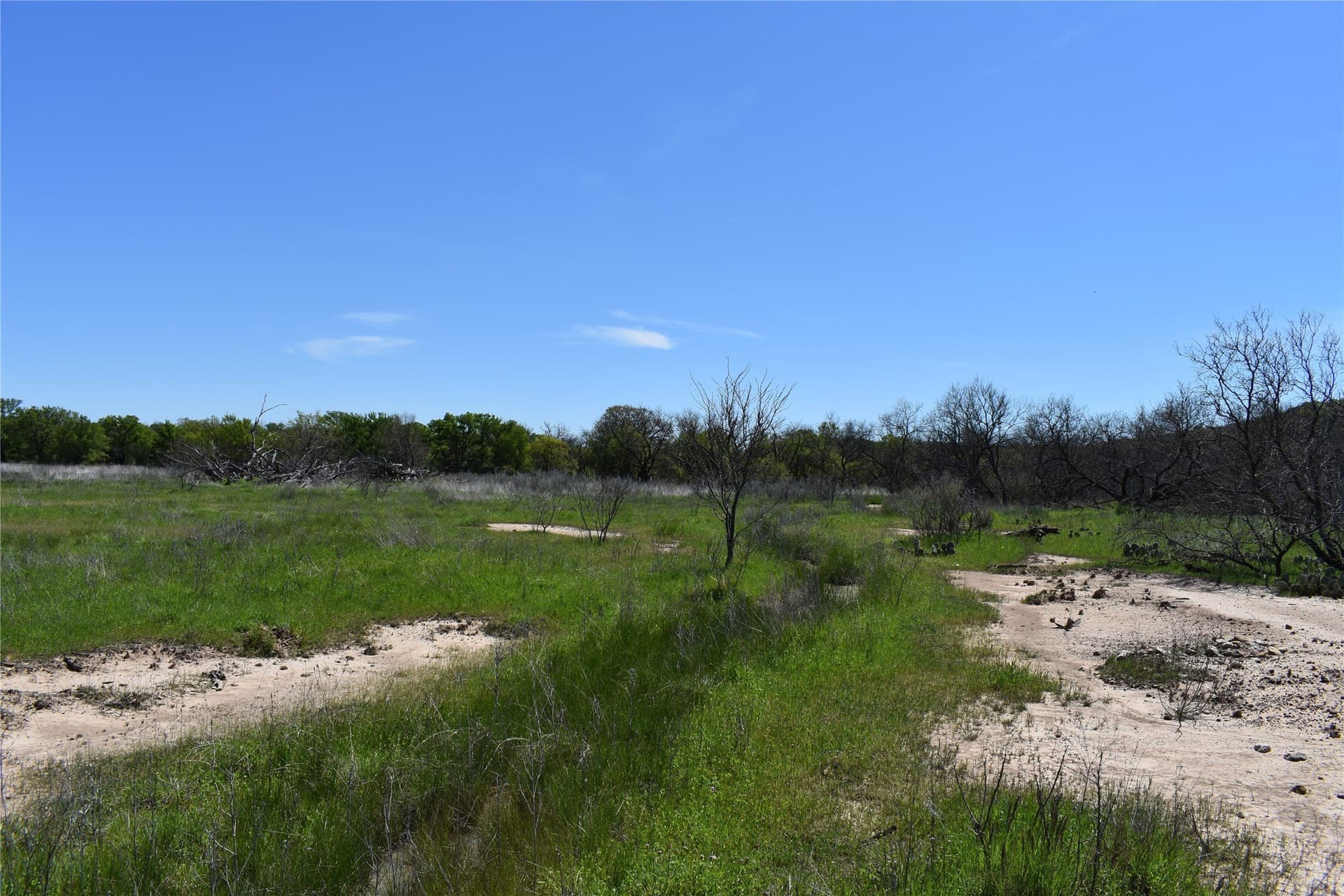86.94 acres in Jack County - photo 33