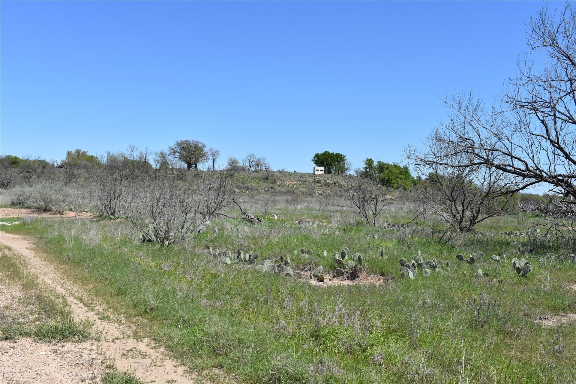 86.94 acres in Jack County - photo 30