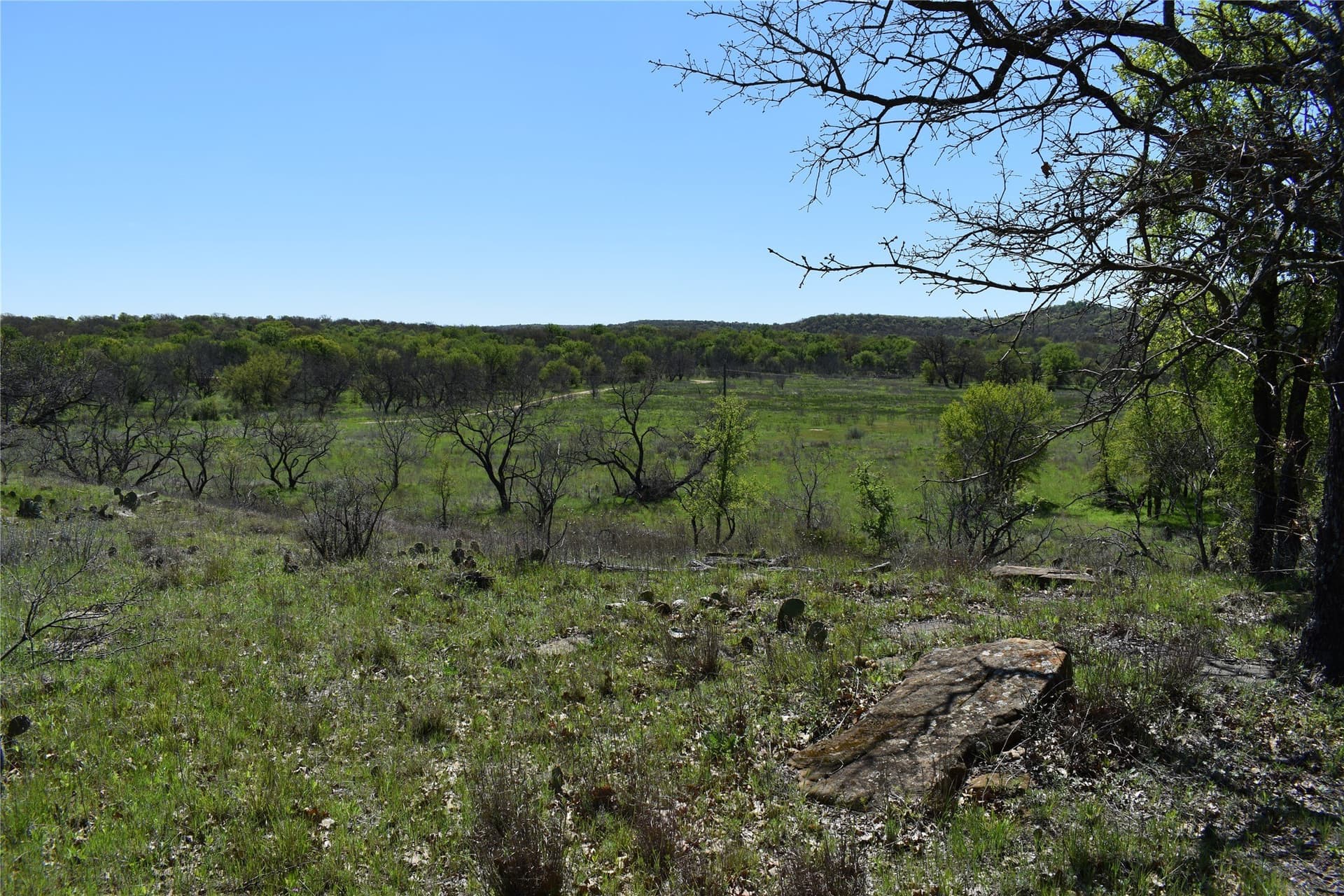 86.94 acres in Jack County - photo 21