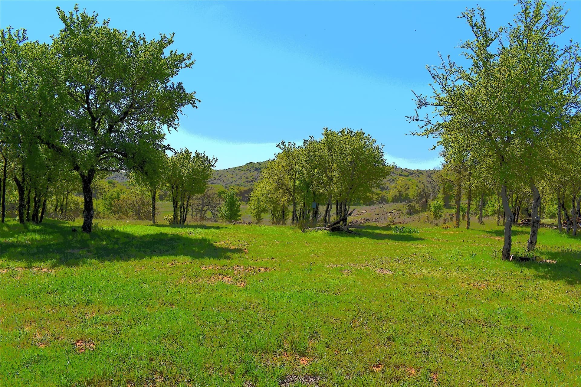86.94 acres in Jack County - photo 13