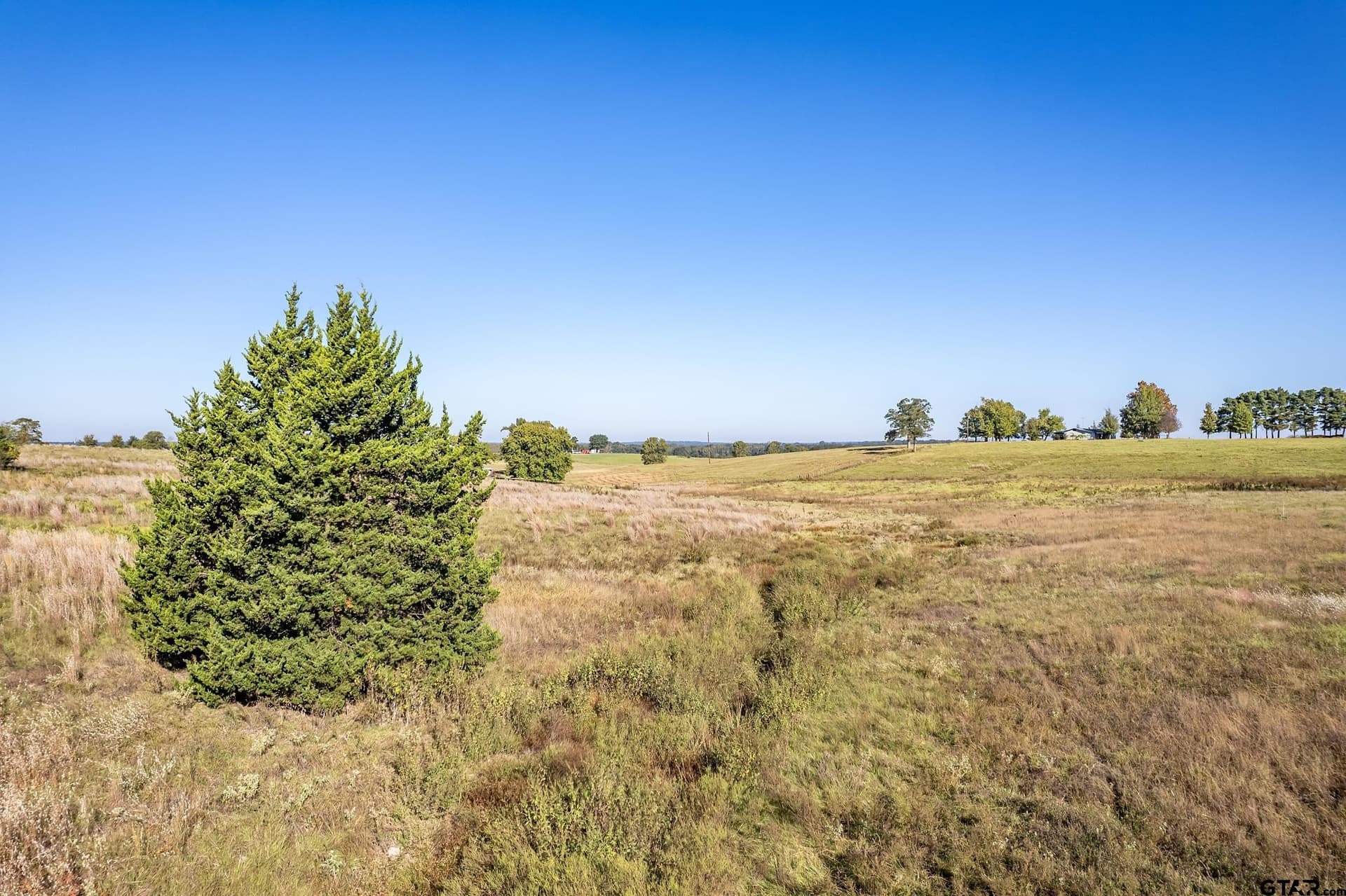 8.31 acres in Henderson County - photo 6