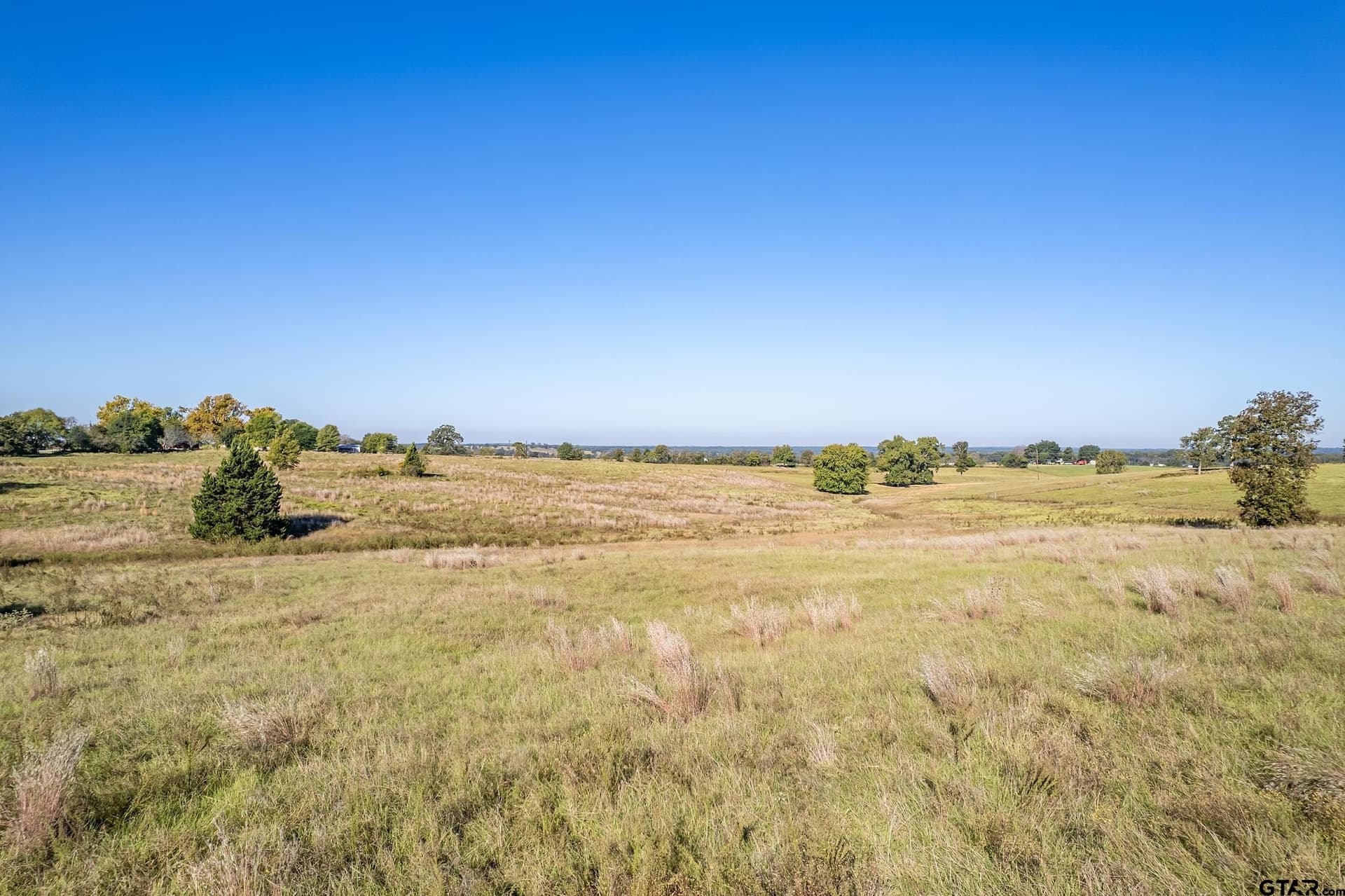 8.31 acres in Henderson County - photo 7