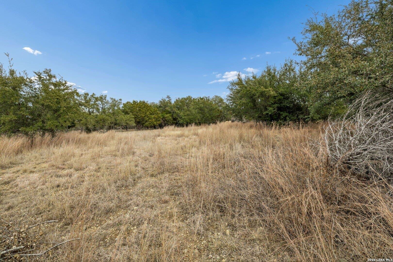 0.29 acres in Blanco County - photo 19