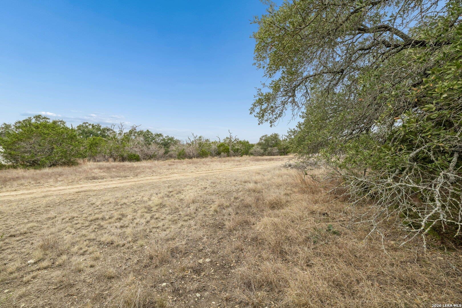 0.29 acres in Blanco County - photo 16