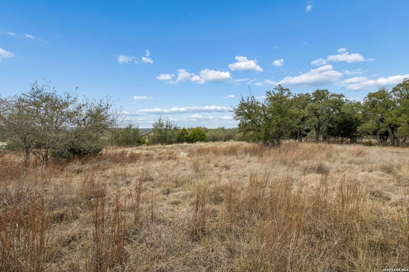 0.29 acres in Blanco County - photo 17