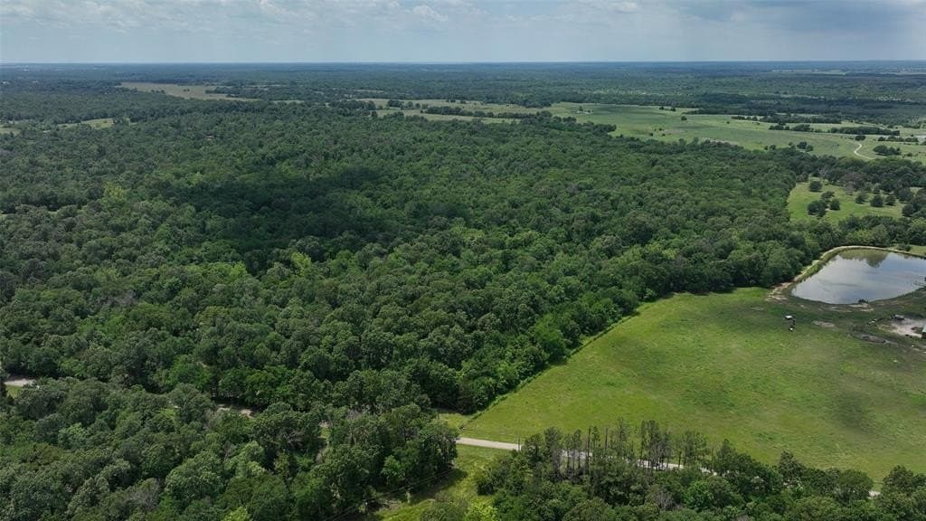 69.82 acres in Lamar County featured view