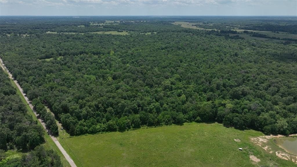 69.82 acres in Lamar County gallery image 3