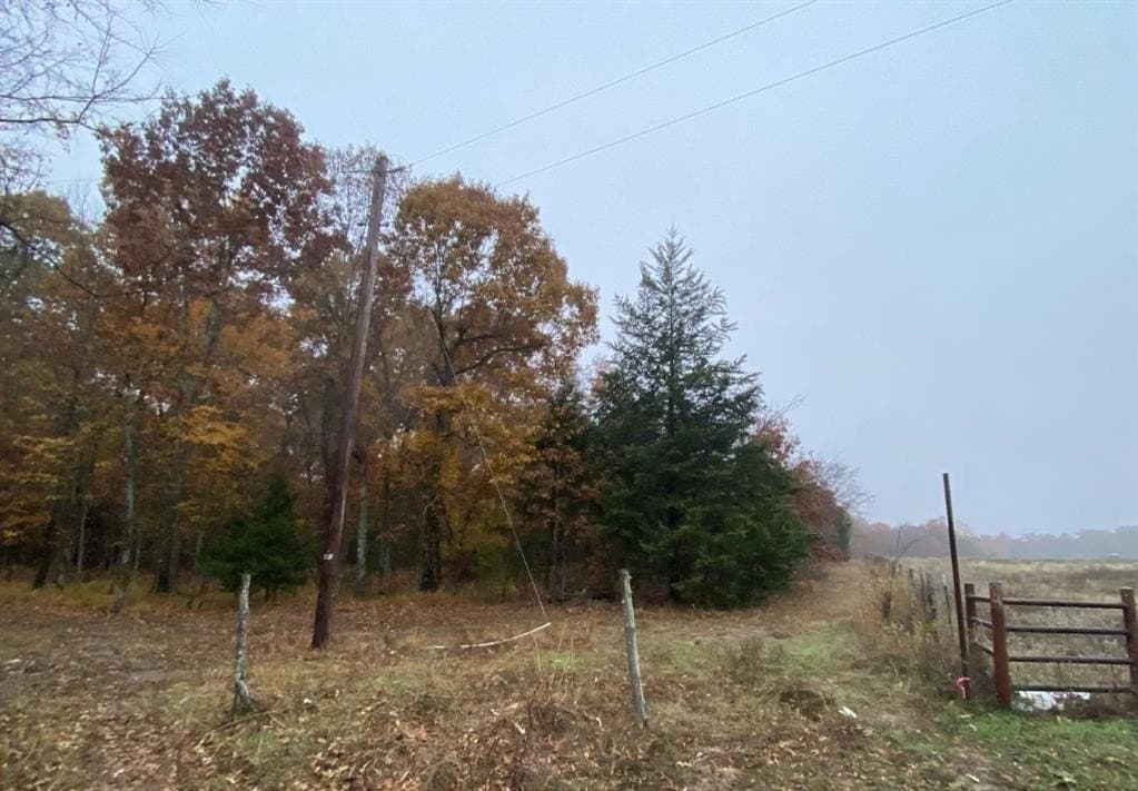 69.82 acres in Lamar County gallery image 2