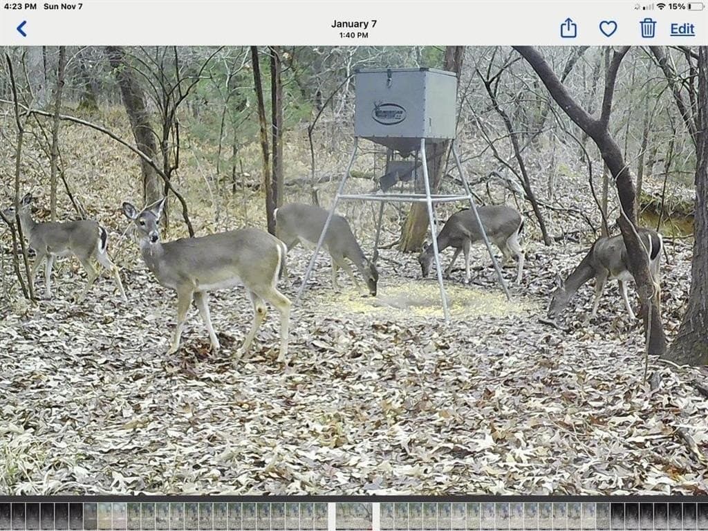 69.82 acres in Lamar County