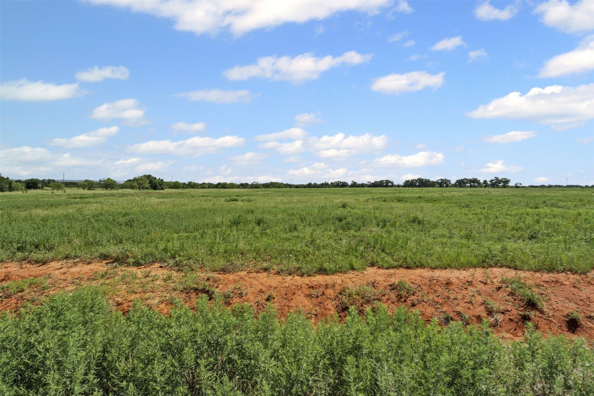 5.36 acres in Palo Pinto County gallery image 3