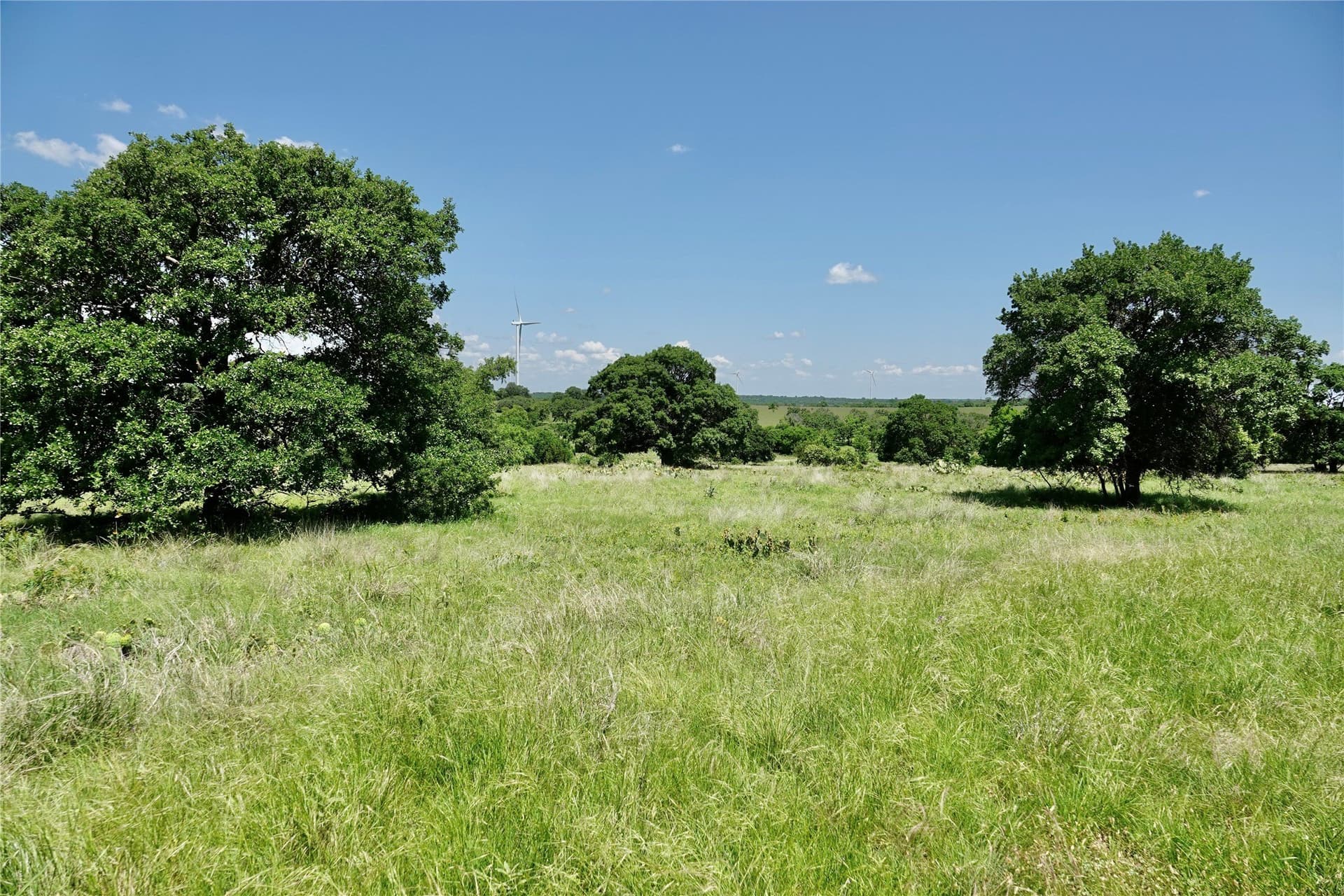 34 acres in Mills County - photo 11
