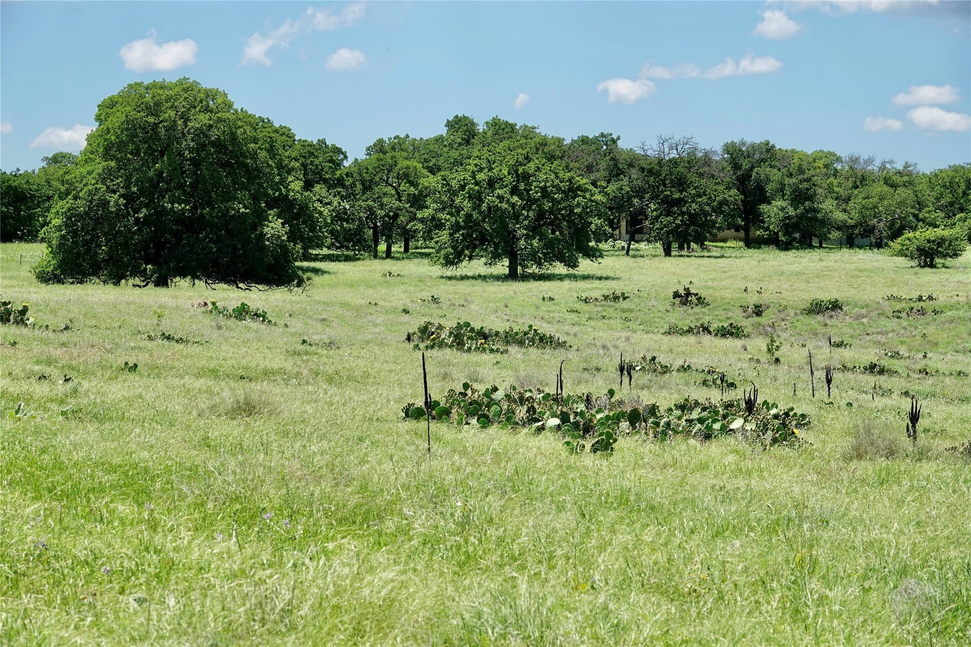 34 acres in Mills County - photo 18