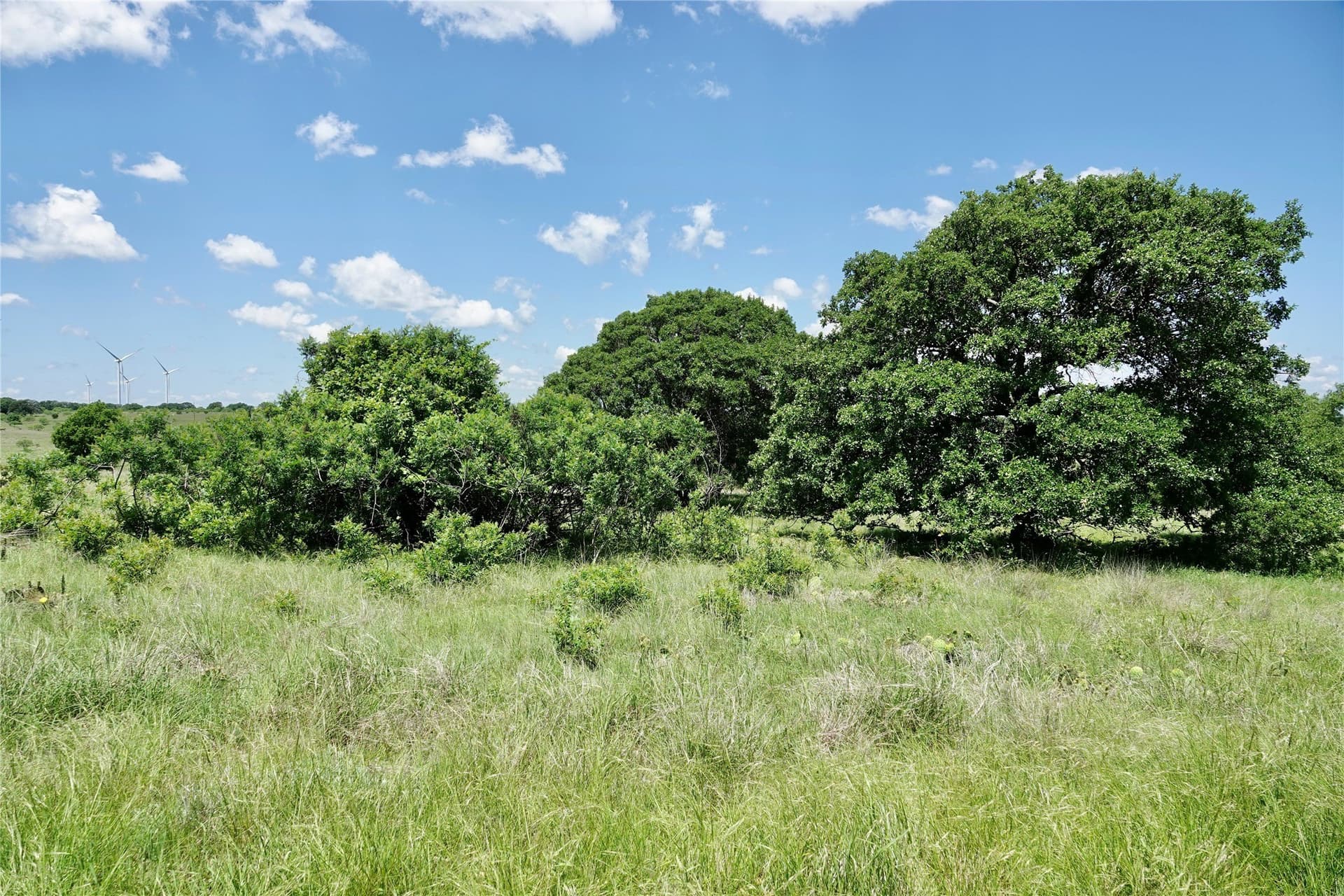 34 acres in Mills County gallery image 3