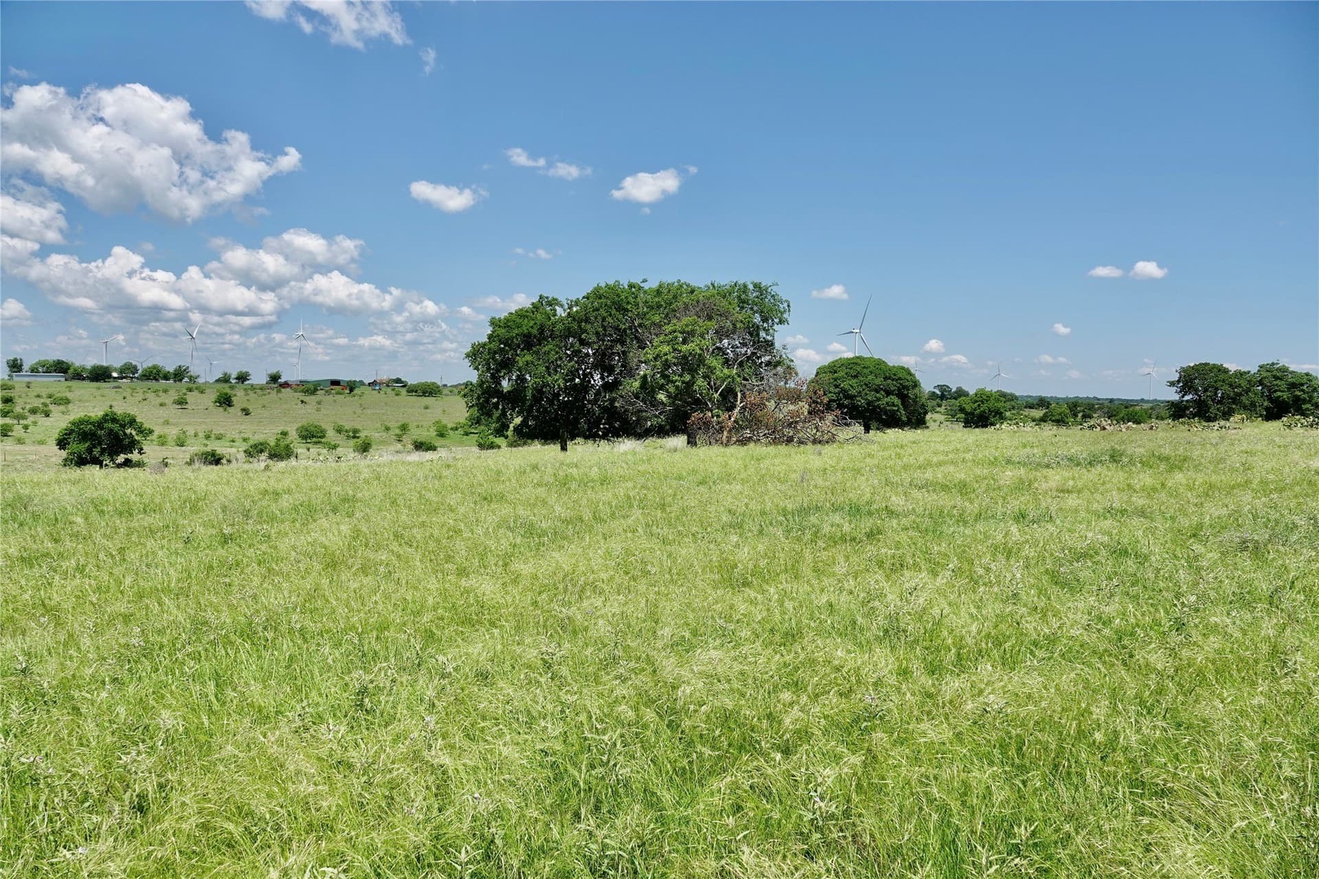 34 acres in Mills County - photo 10