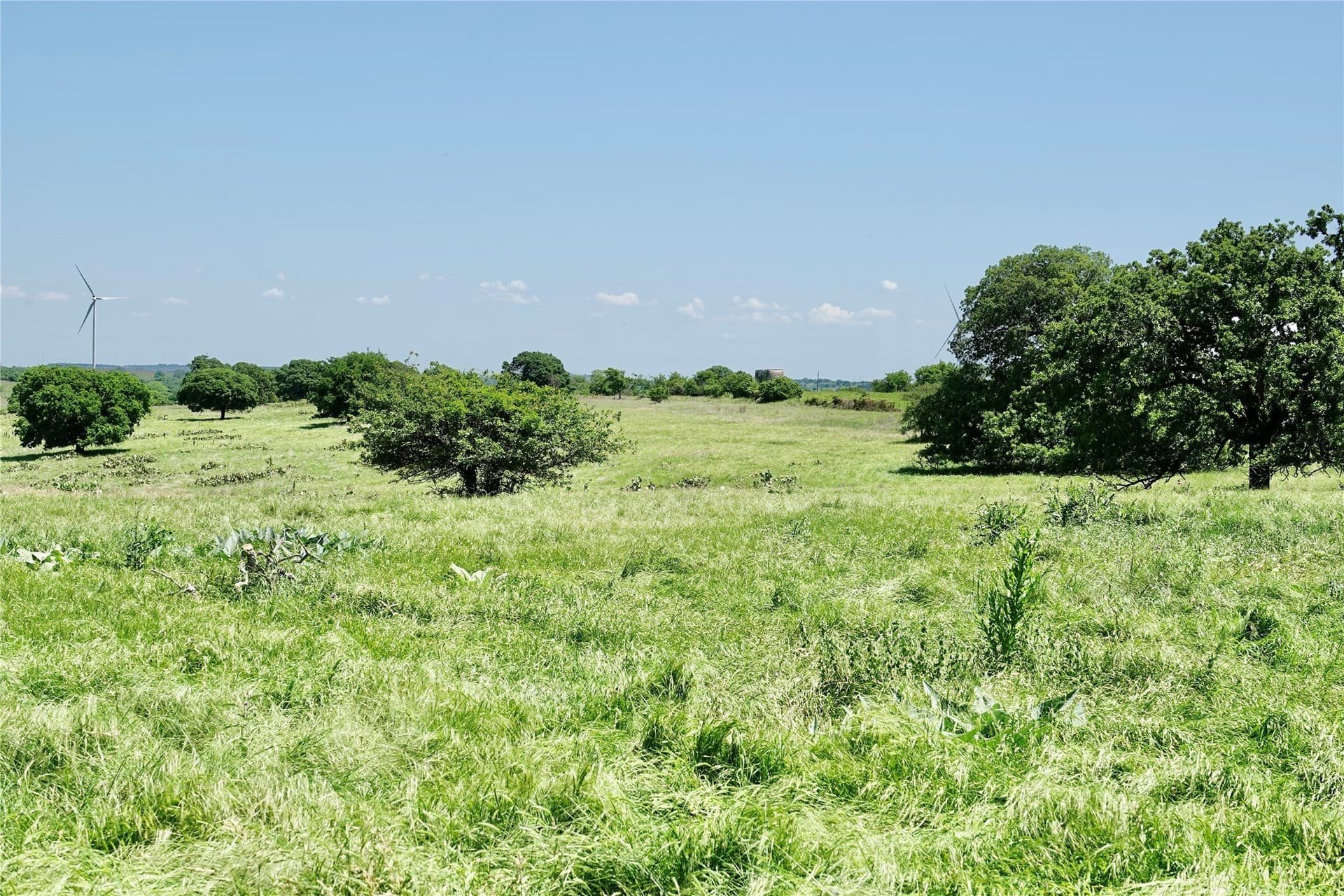 34 acres in Mills County - photo 6