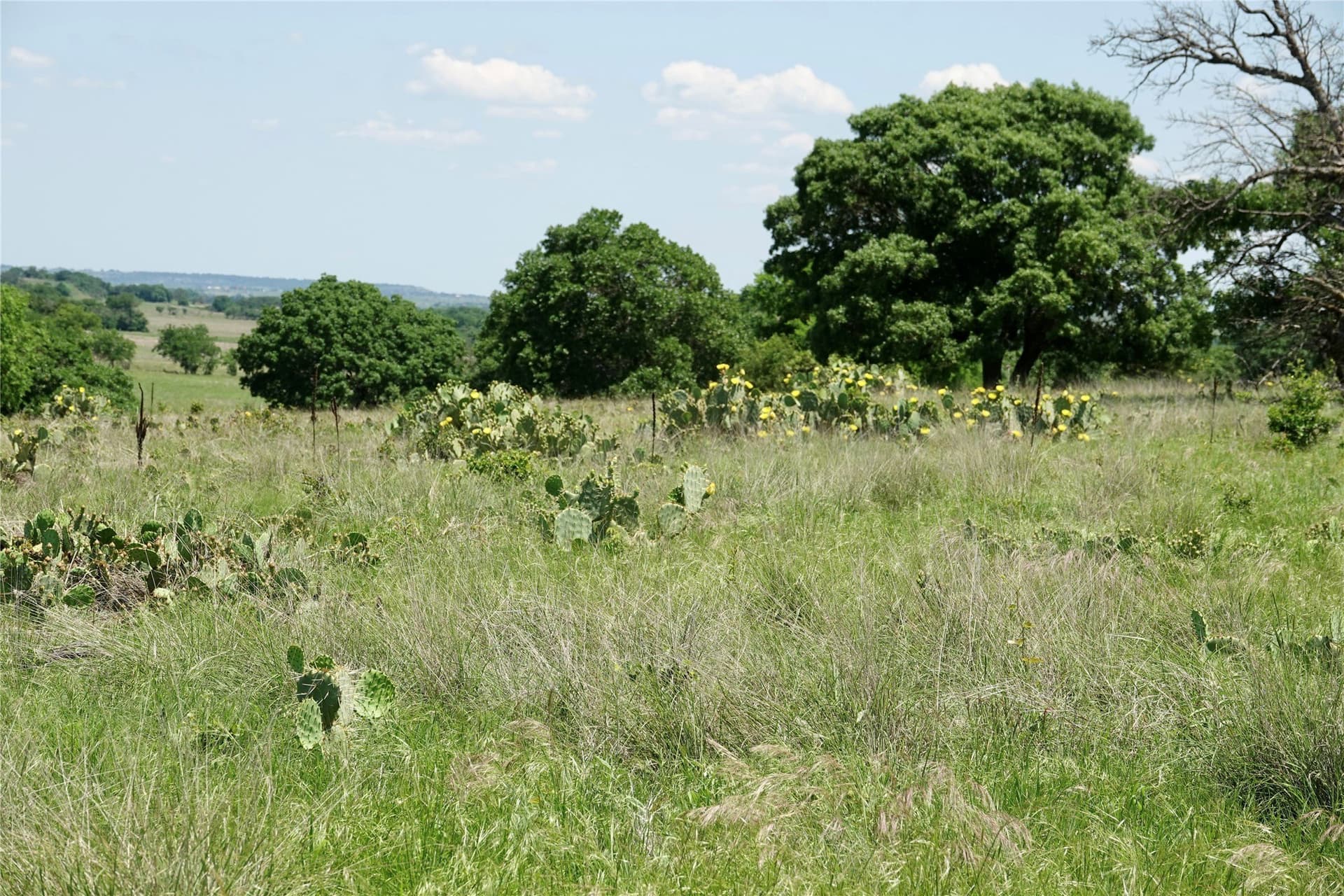 34 acres in Mills County - photo 20