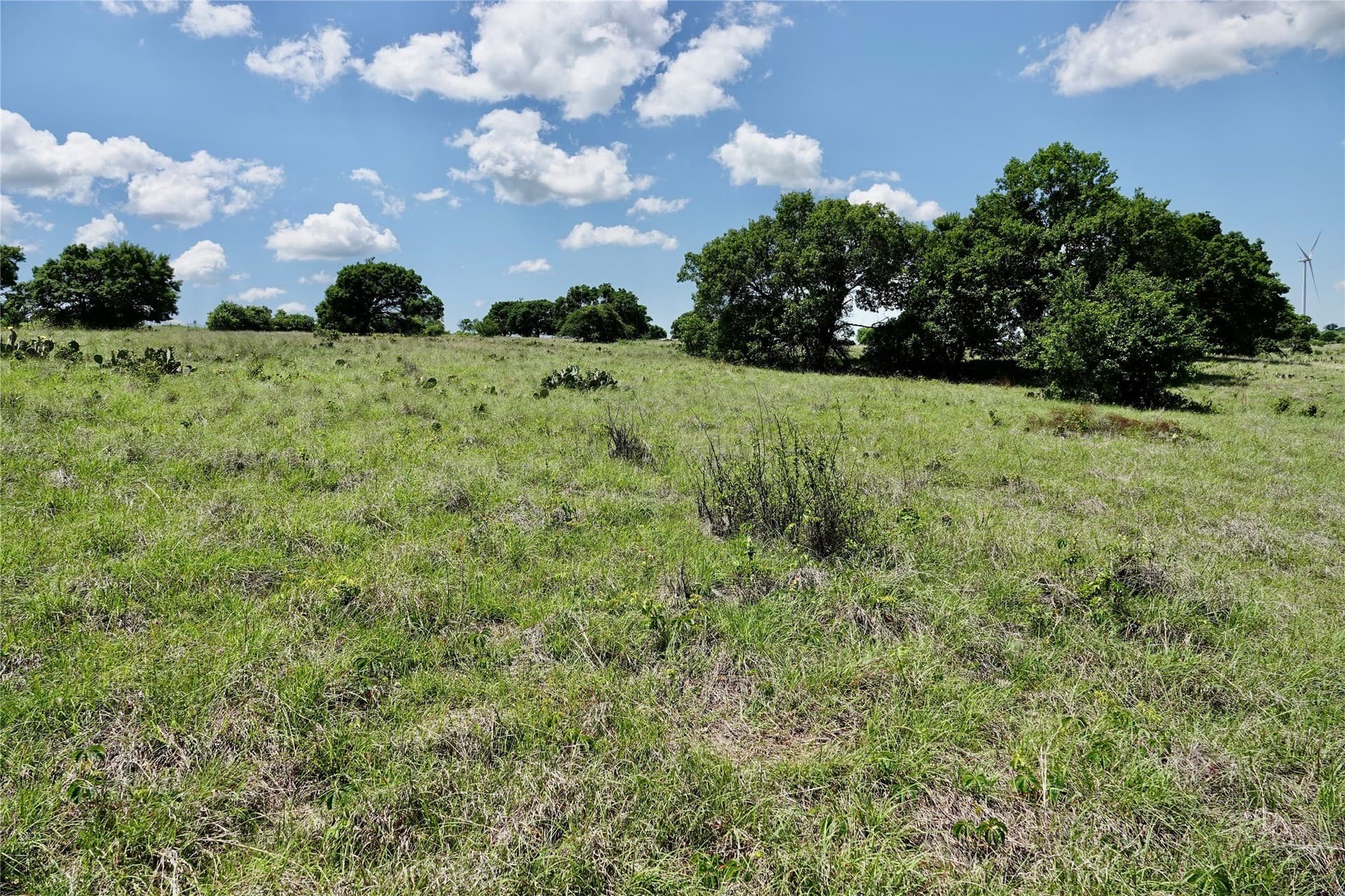 34 acres in Mills County - photo 26