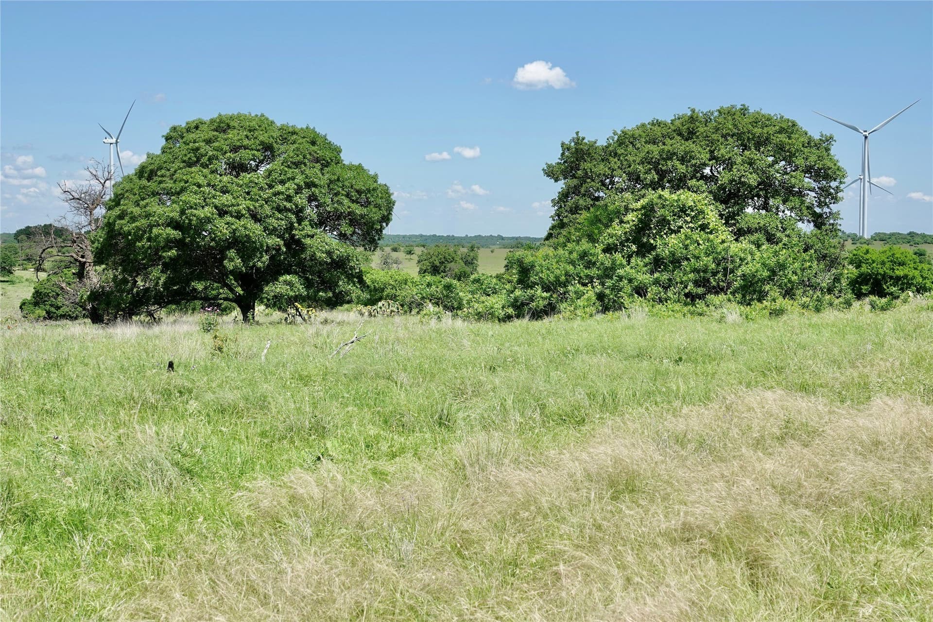 34 acres in Mills County - photo 9