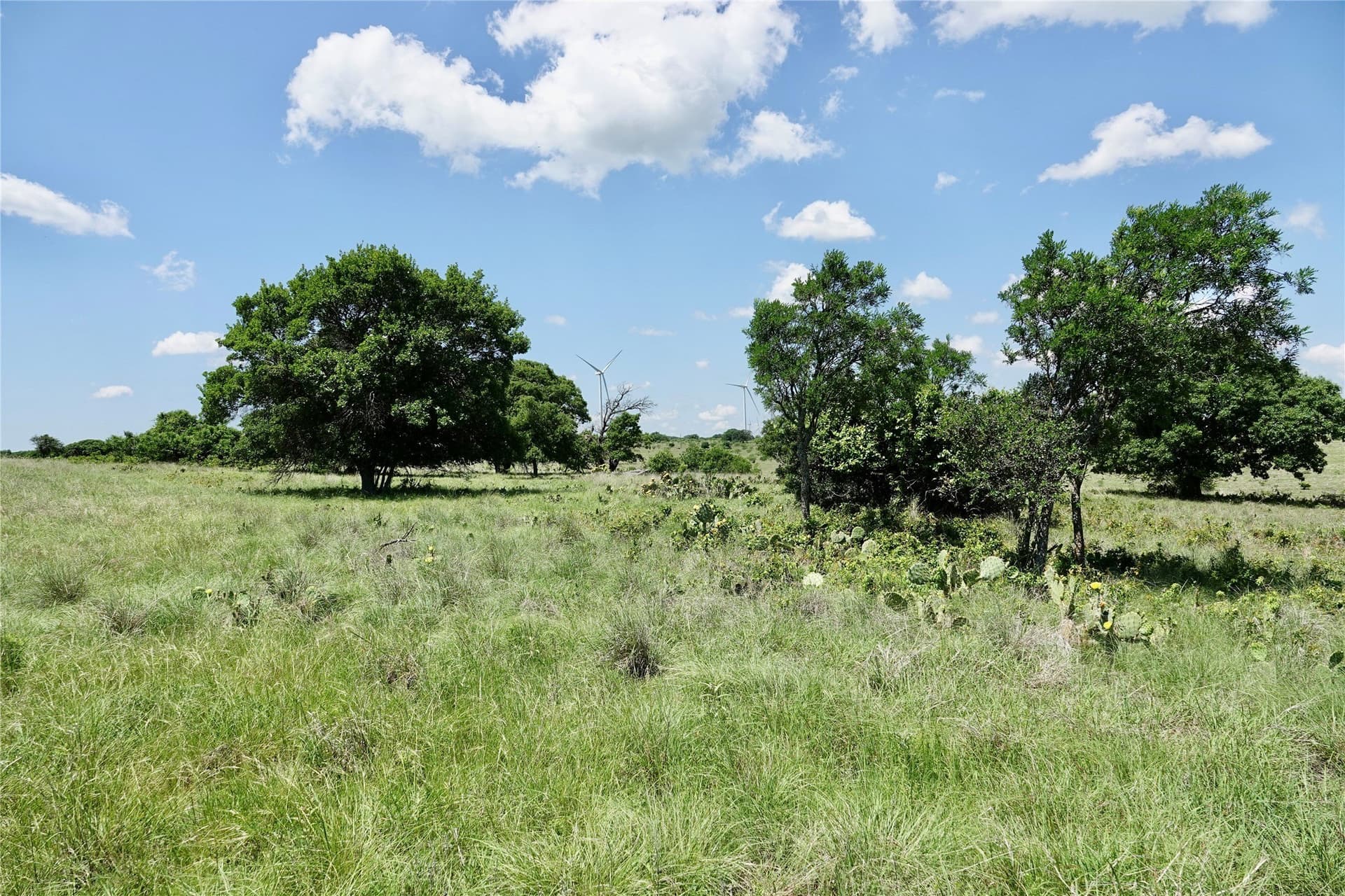 34 acres in Mills County - photo 14