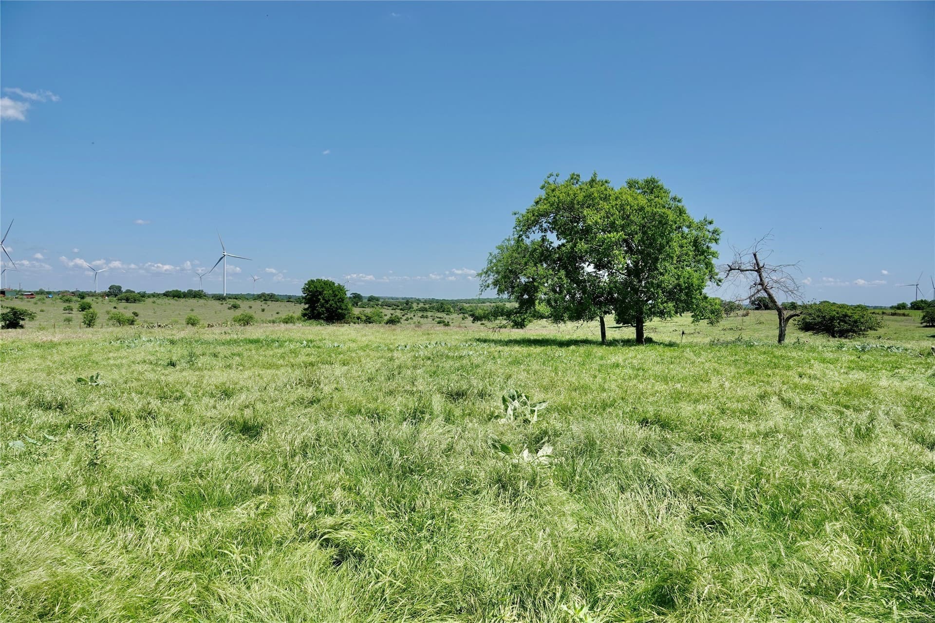 34 acres in Mills County gallery image 4