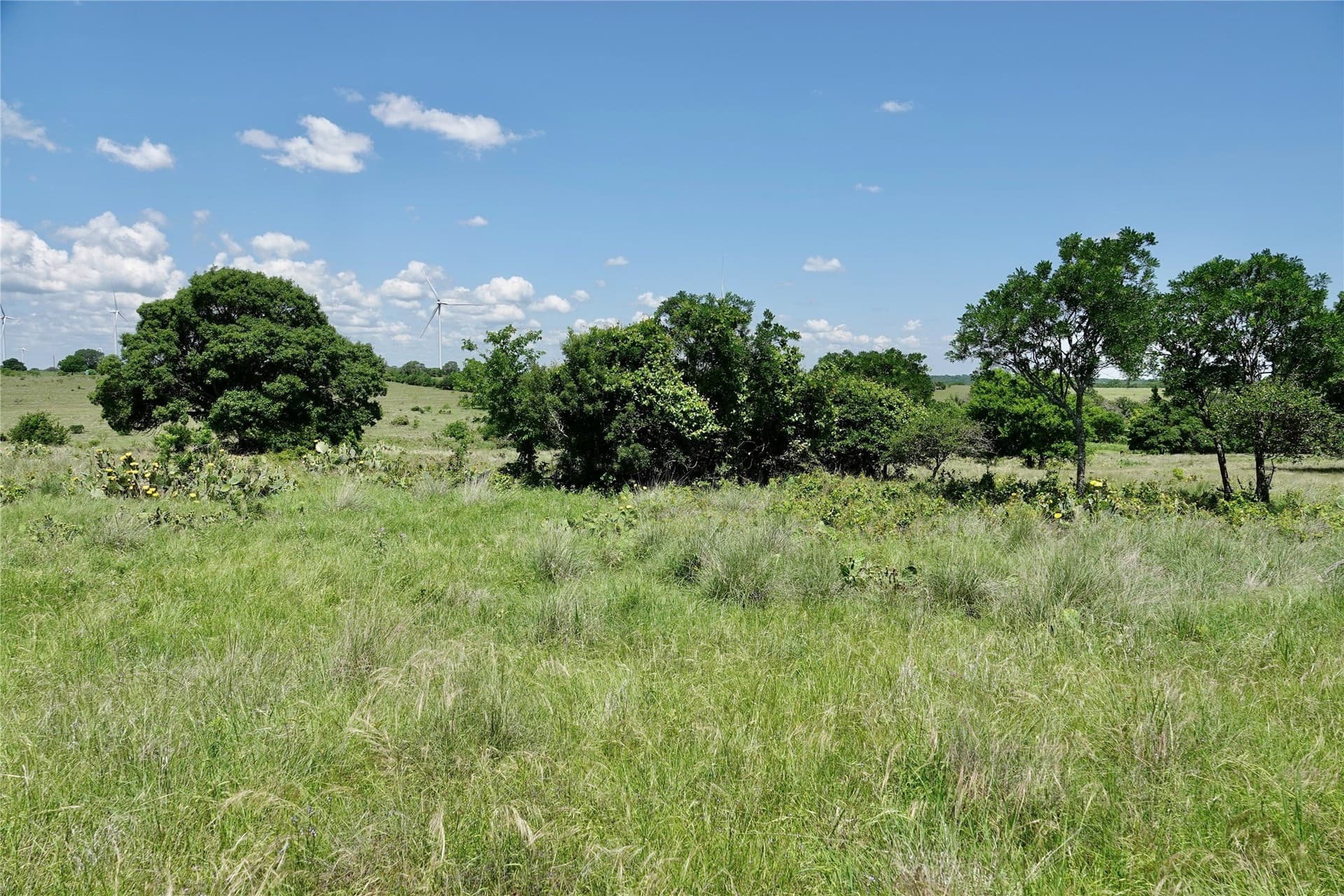 34 acres in Mills County - photo 13