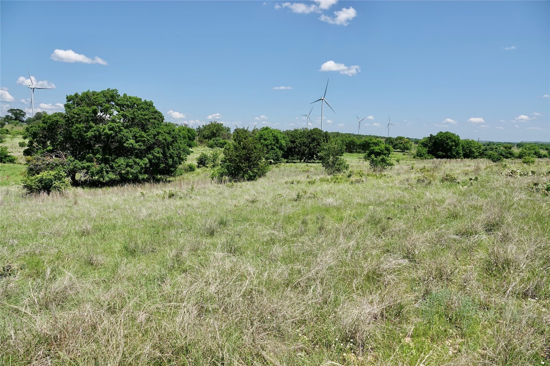 34 acres in Mills County - photo 22