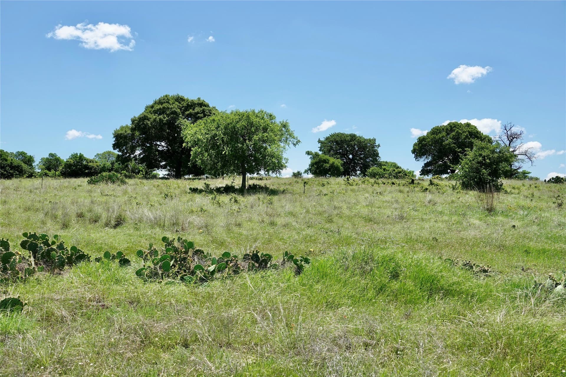 34 acres in Mills County - photo 21