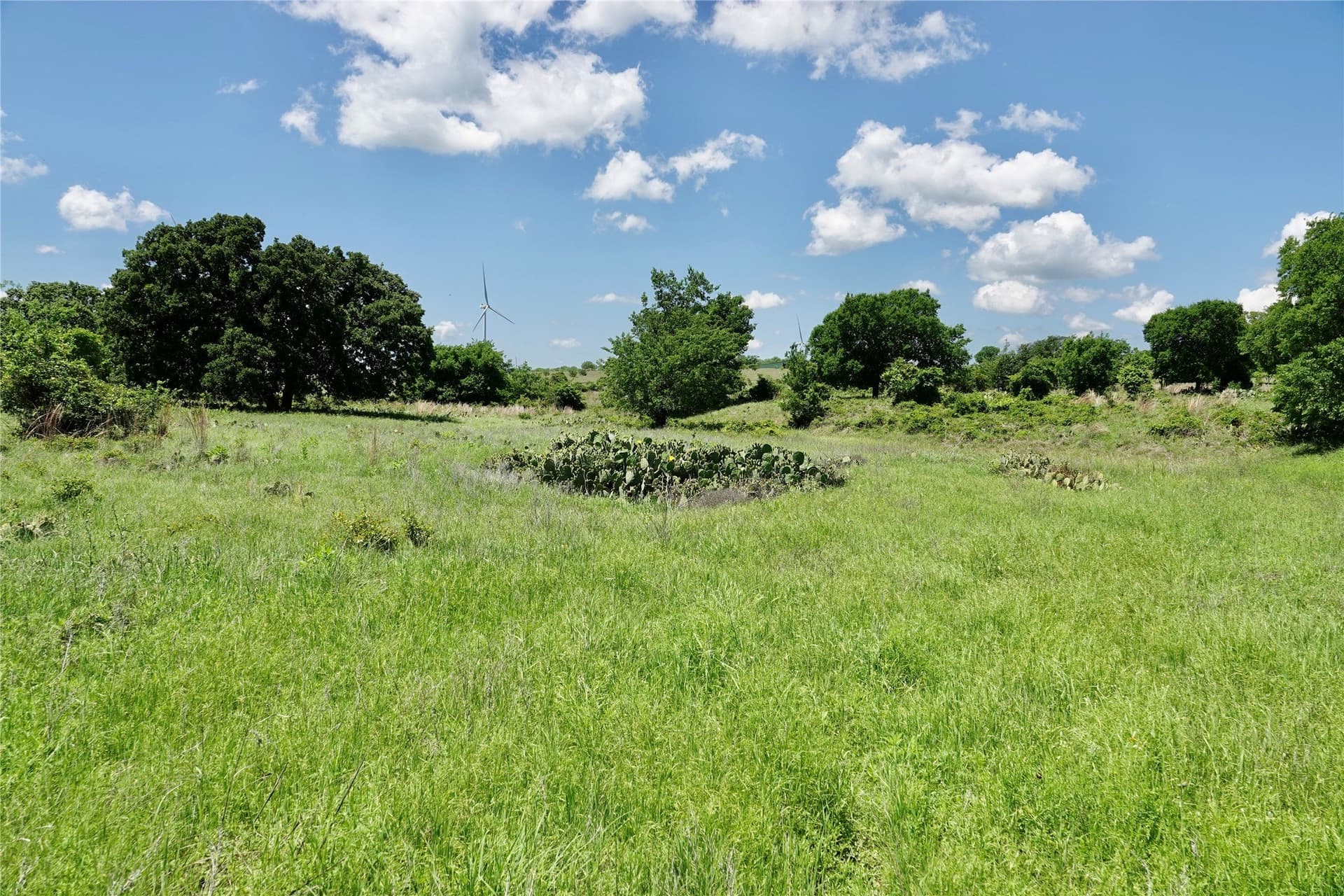 34 acres in Mills County - photo 28