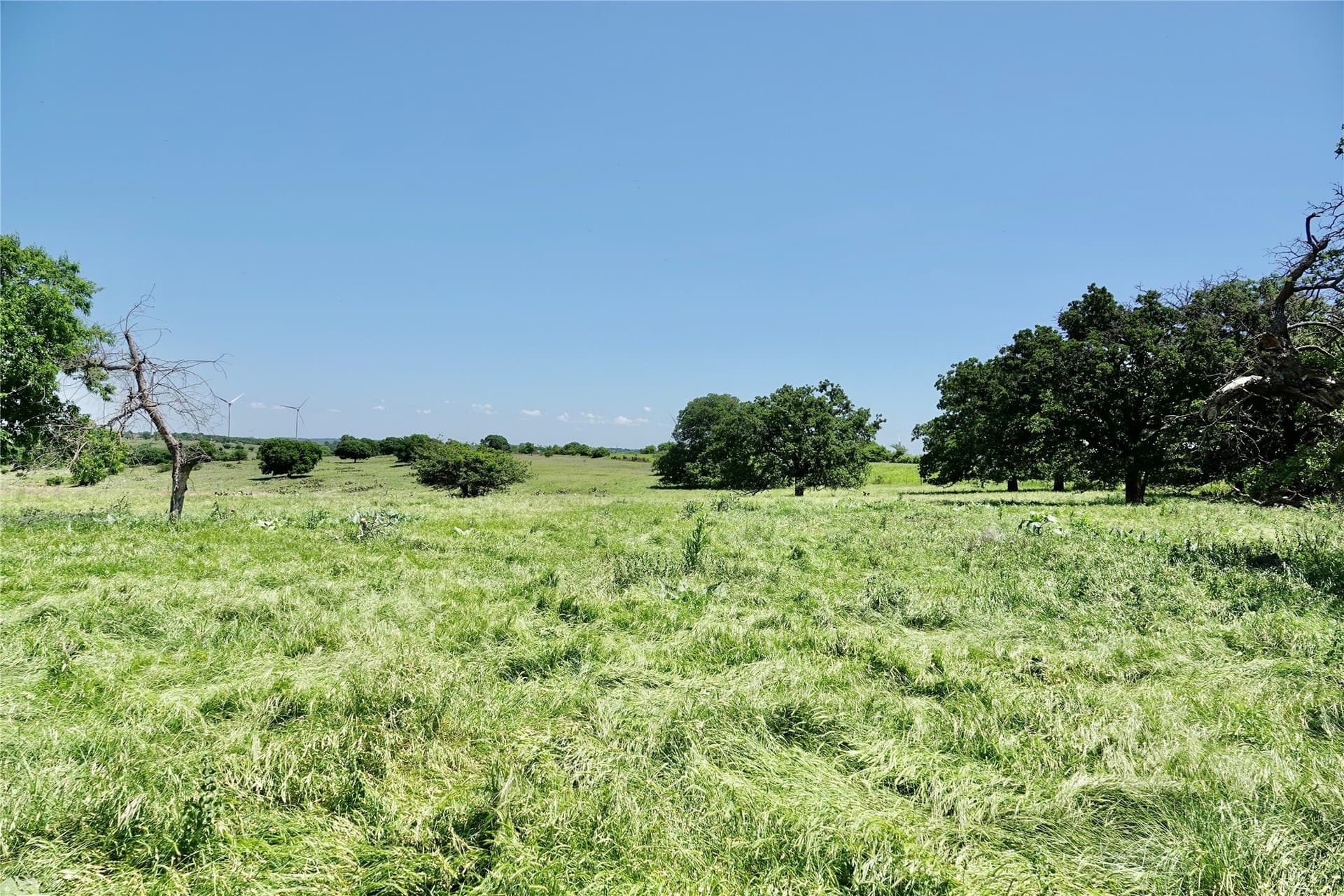 34 acres in Mills County featured view