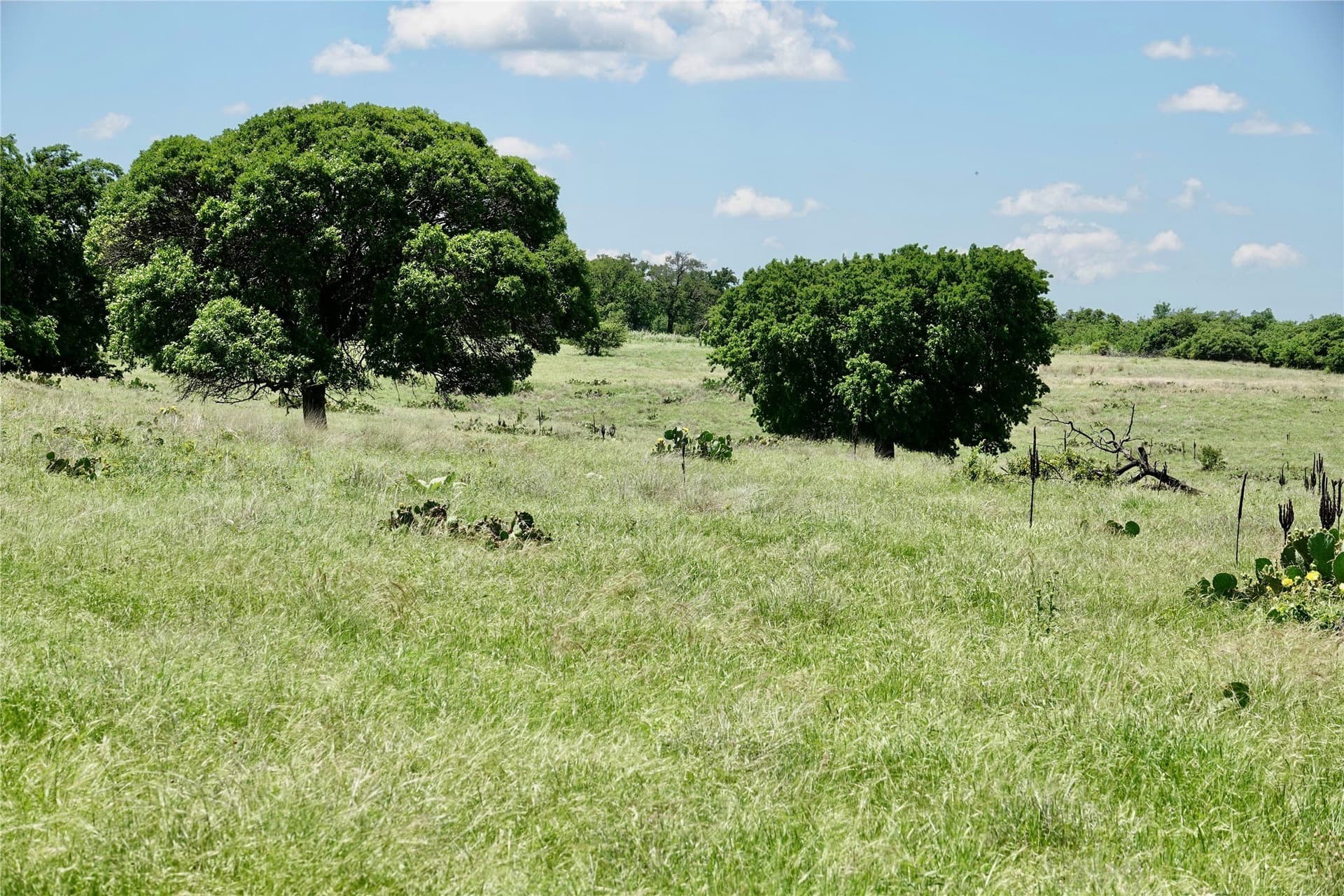 34 acres in Mills County - photo 19