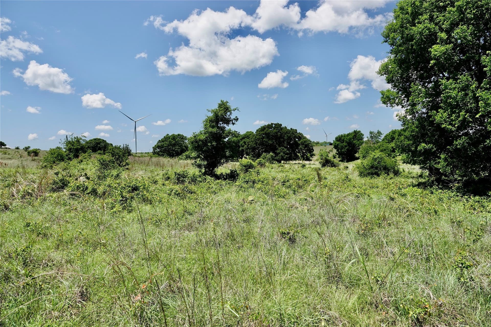 34 acres in Mills County - photo 27