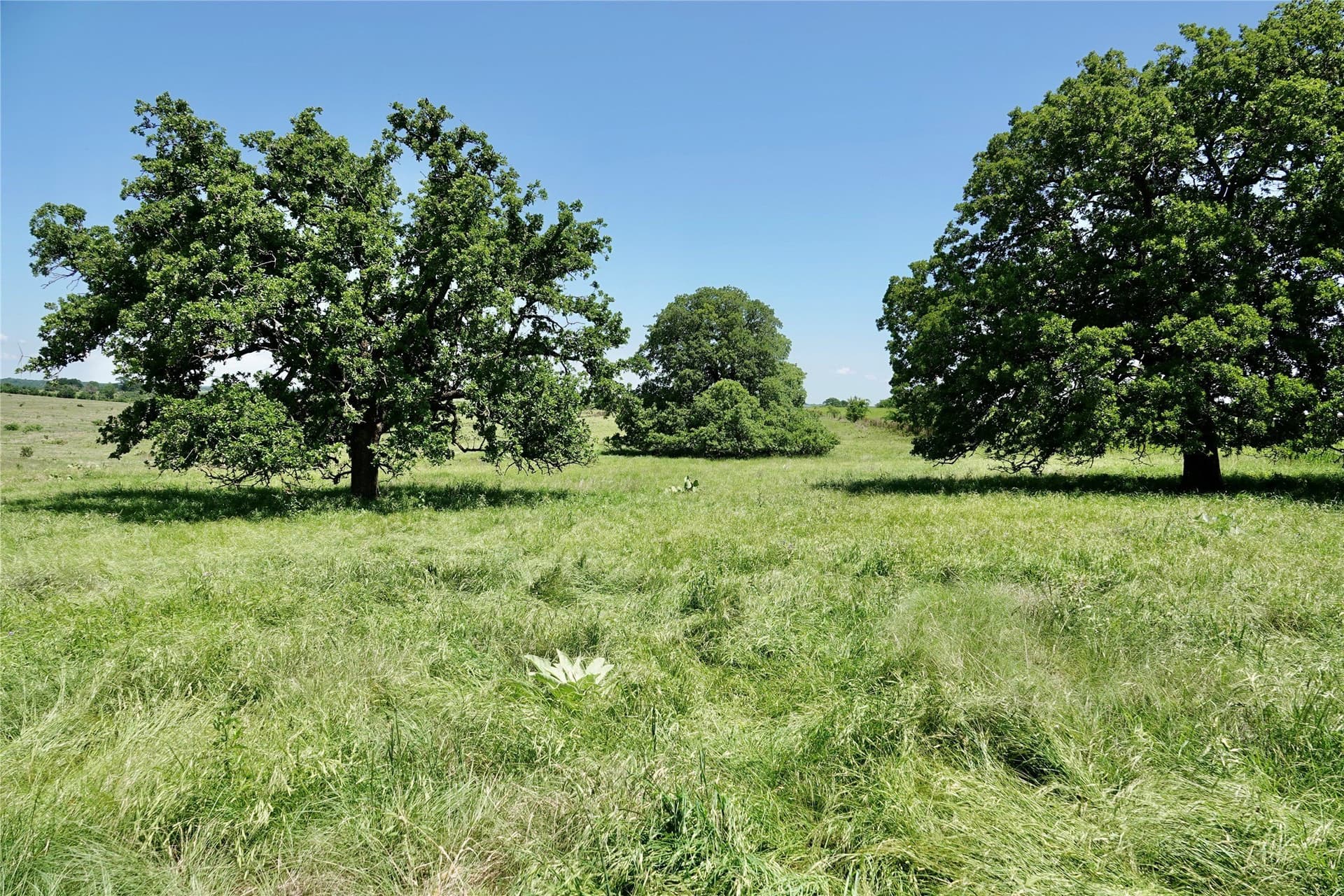 34 acres in Mills County