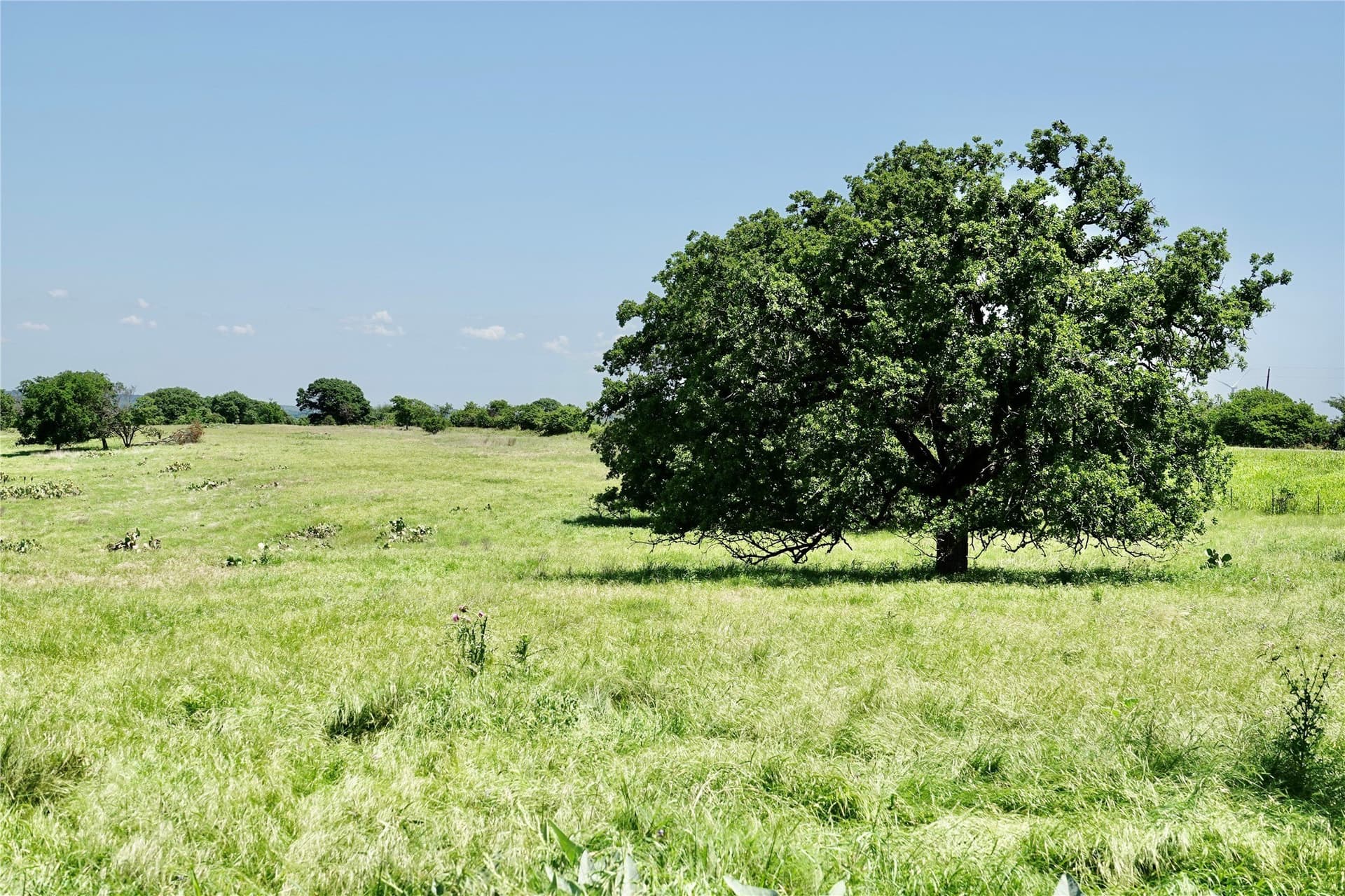 34 acres in Mills County - photo 7